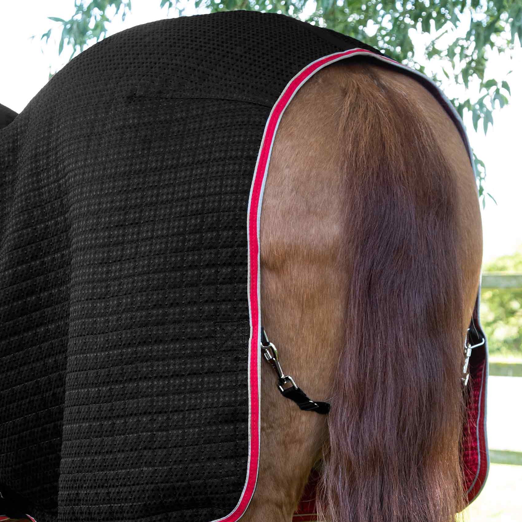 Premier Equine Dry-Tech Horse Cooler Rug Black - Breathable, Quick Drying Horse Rug