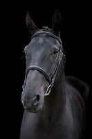 Ecorider Classic Comfort Bridle