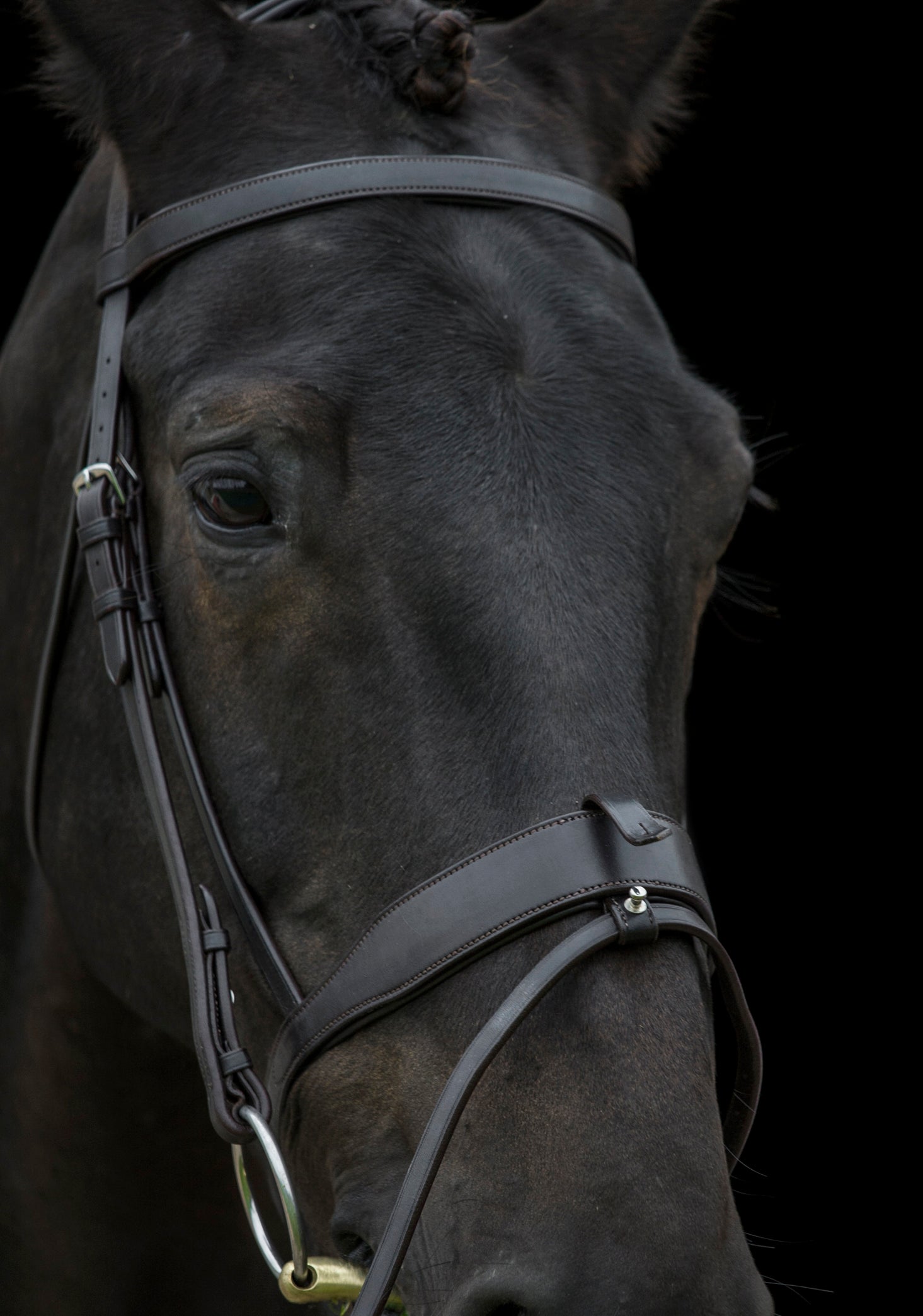 Ecorider Classic Show Comfort Bridle Black