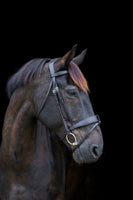 Ecorider Classic Show Comfort Bridle Black