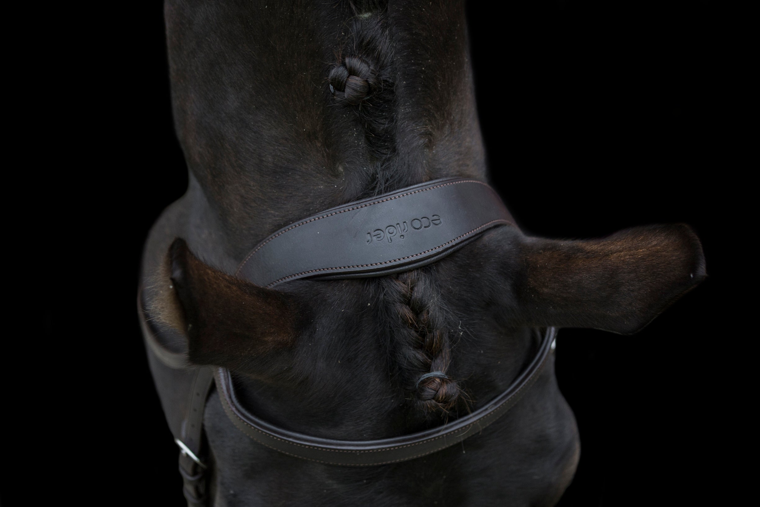Close-up of a horse wearing an EcoRider Classic brown leather bridle with braided mane on a black background.