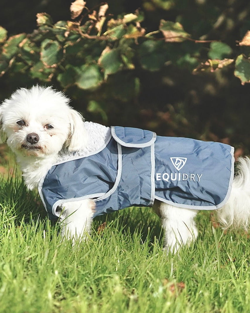 EQUIDRY Waterproof Dog Coat - Steel Blue/Grey. Small White Dog in Grass Wearing Waterproof Coat. Reflective & Adjustable Dog Apparel
