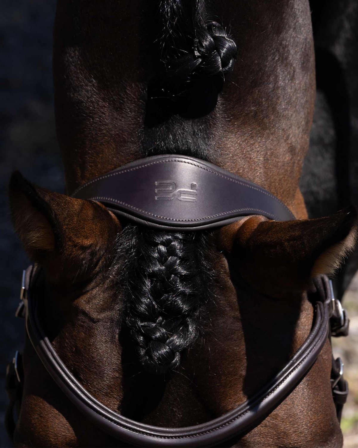 PREMIER EQUINE Glorioso Grackle Bridle - Brown Italian Leather Horse Tack