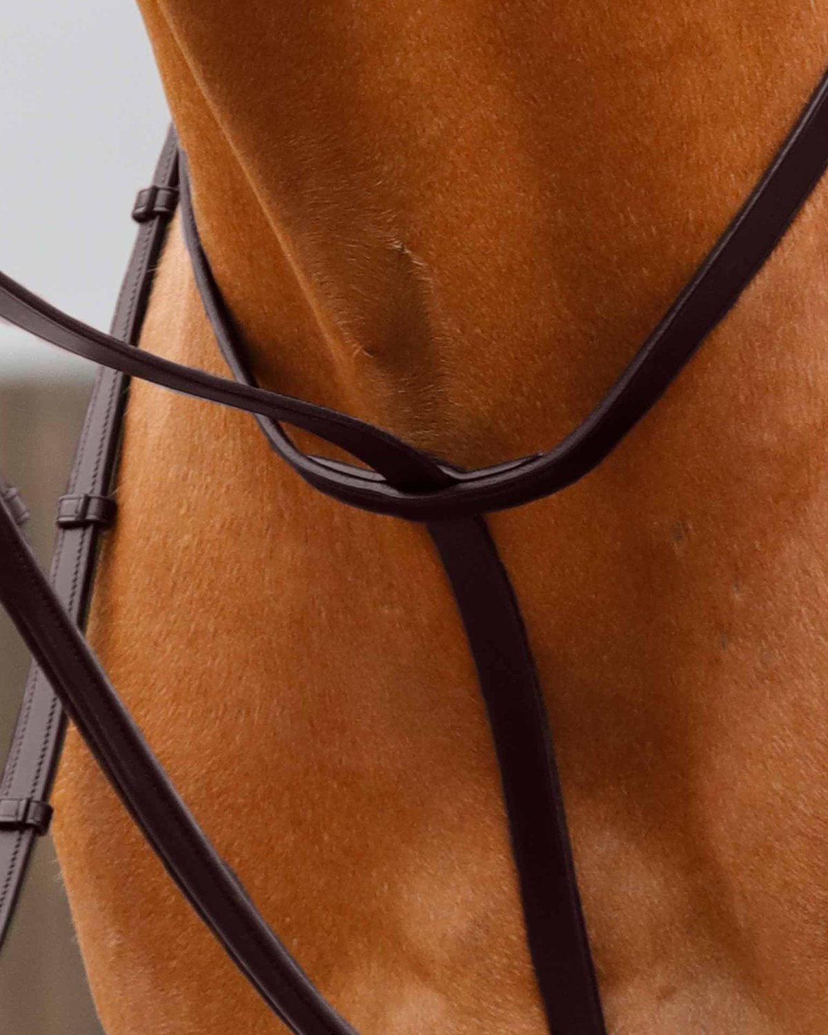 Premier Equine Gressan Standing Martingale Brown