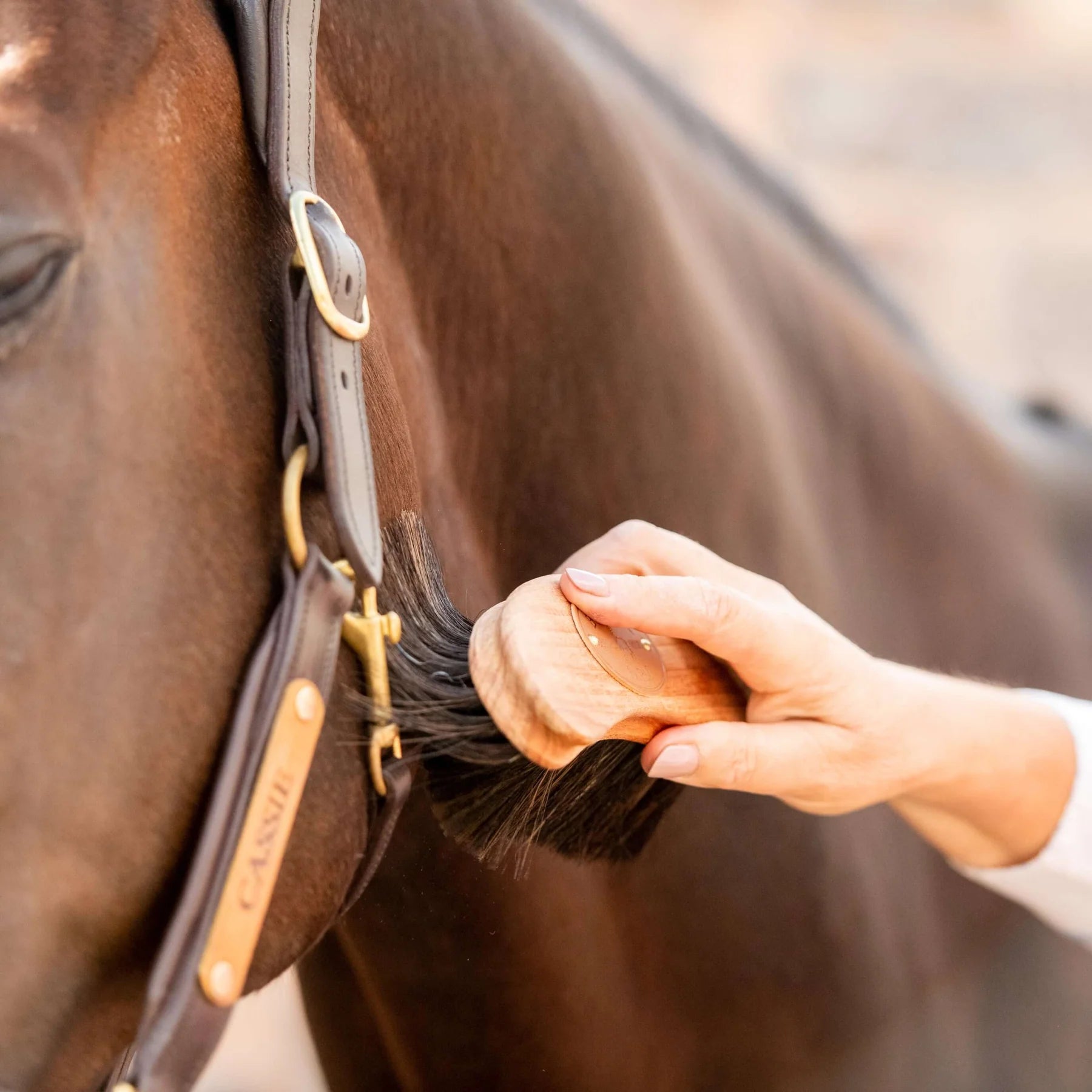 Borstiq Banana Finishing Brush: Horse Grooming at Equiflair - Finishing Brush for Equine Care