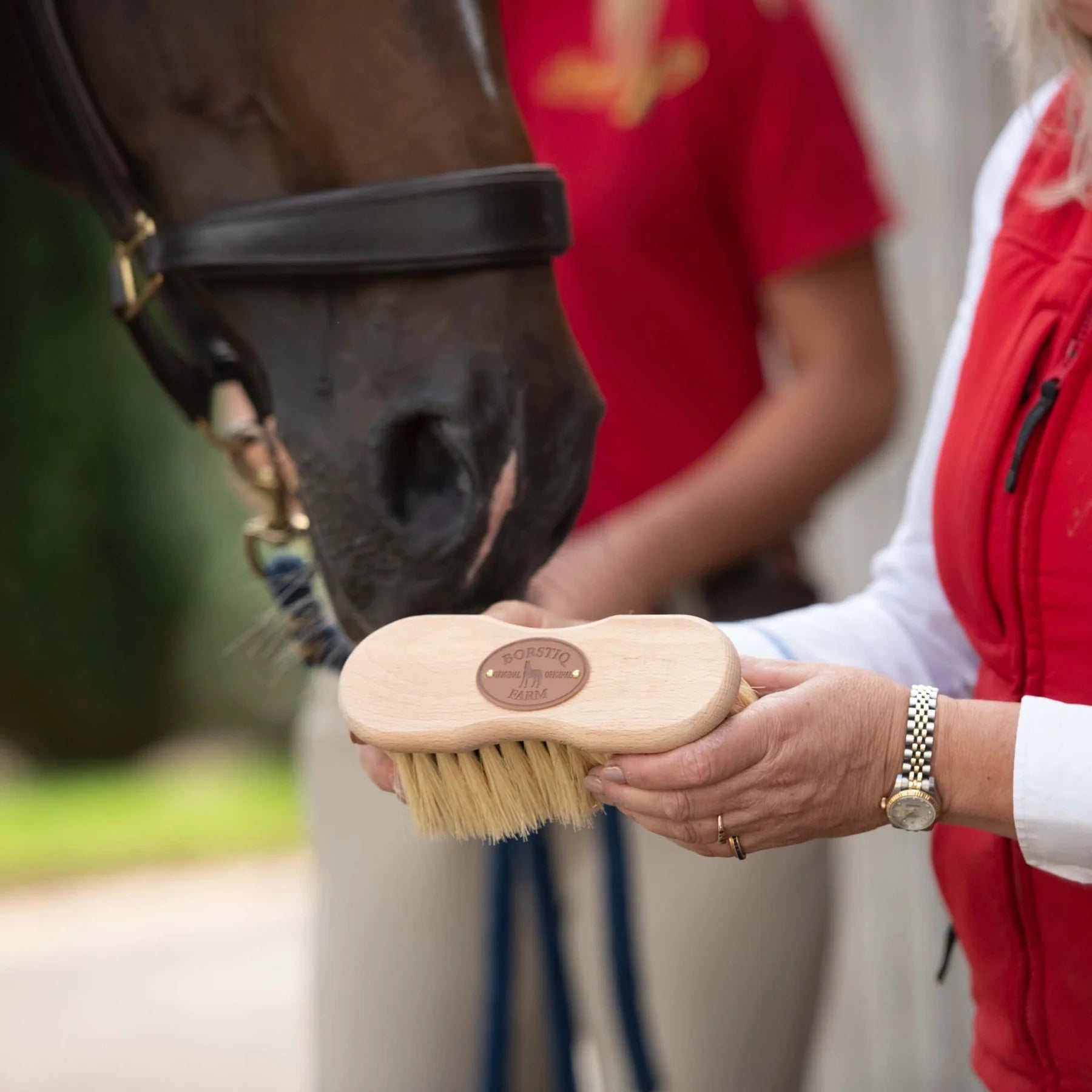 Borstiq Shaped Mex Soft Horse Brush: Gentle Grooming for a Shiny Coat. Equiflair Product