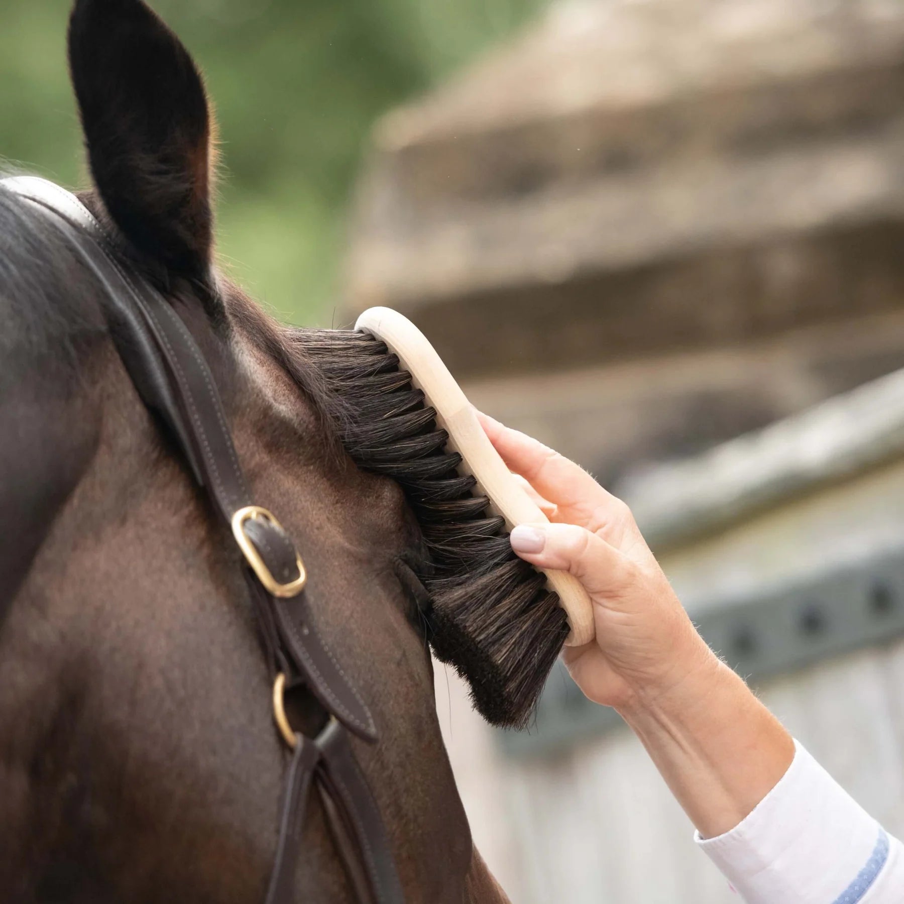 Borstiq Shaped Finishing Brush: Horse Grooming with Equiflair's luxurious brush.