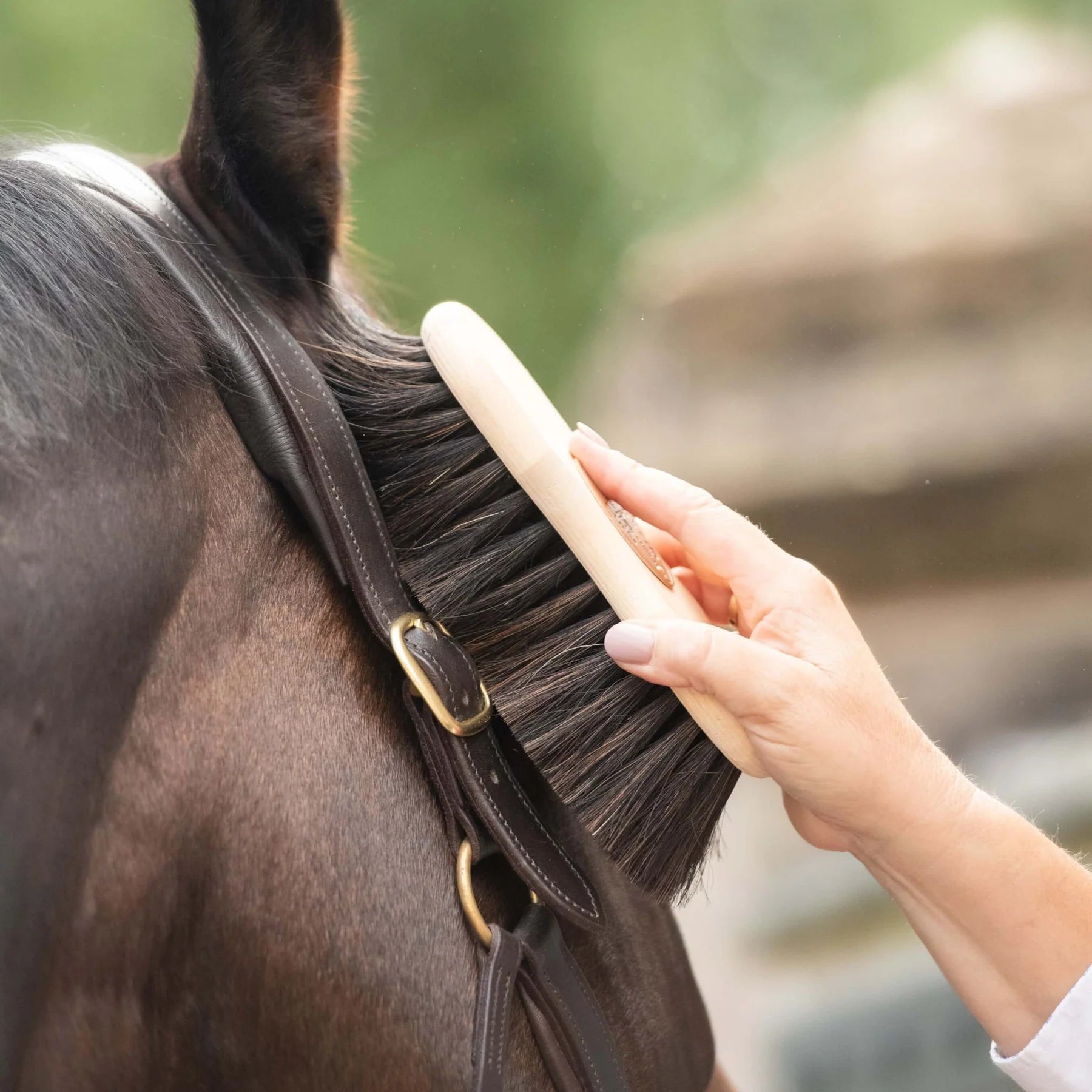 Horse Grooming: Borstiq Finishing Brush for a Show-Ready Coat at Equiflair
