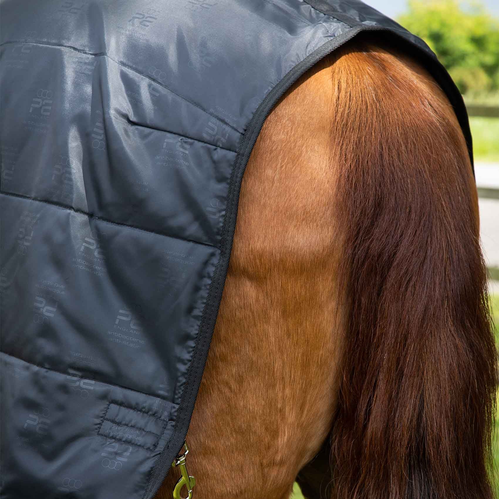 Horse wearing a Premier Equine 200g quilted rug liner - Black color. Part view of horse with blanket.