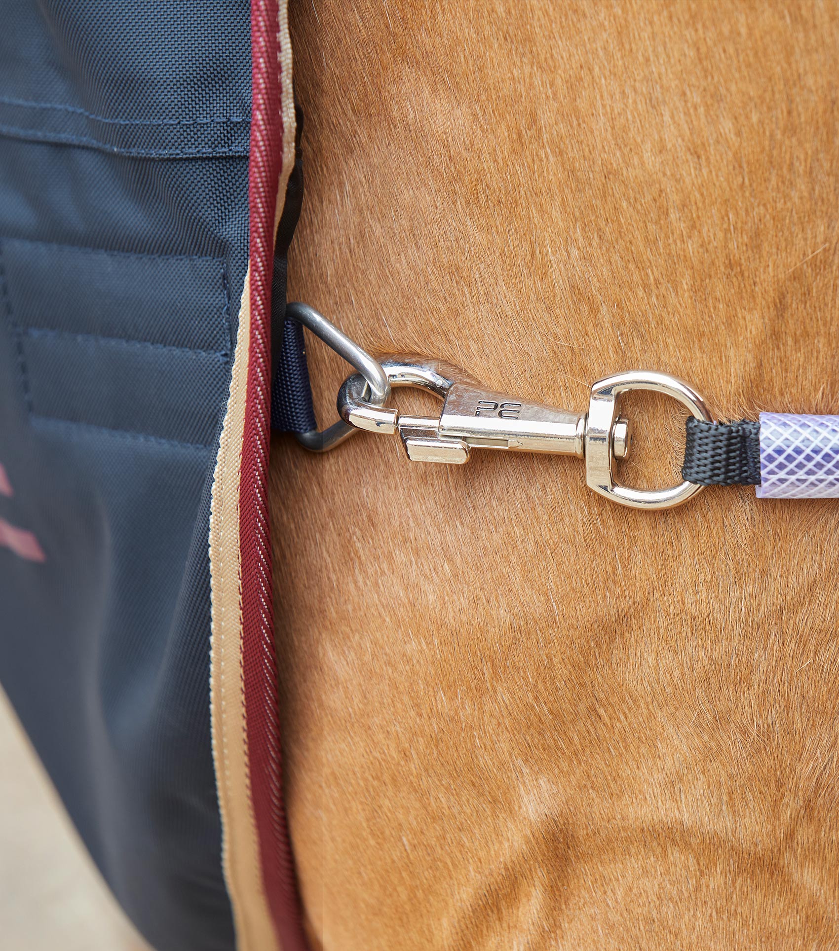PREMIER EQUINE HORSE WALKER RUG 0G NAVY: Waterproof Exercise Rug for Horses
