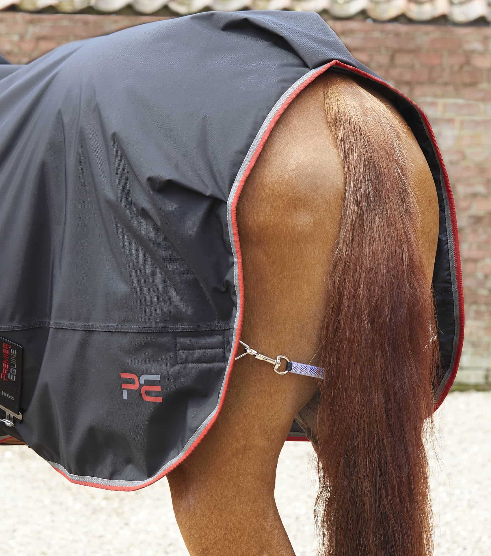 Premier Equine Horse Walker Rug 100g Black: Waterproof & Breathable Equine Blanket.