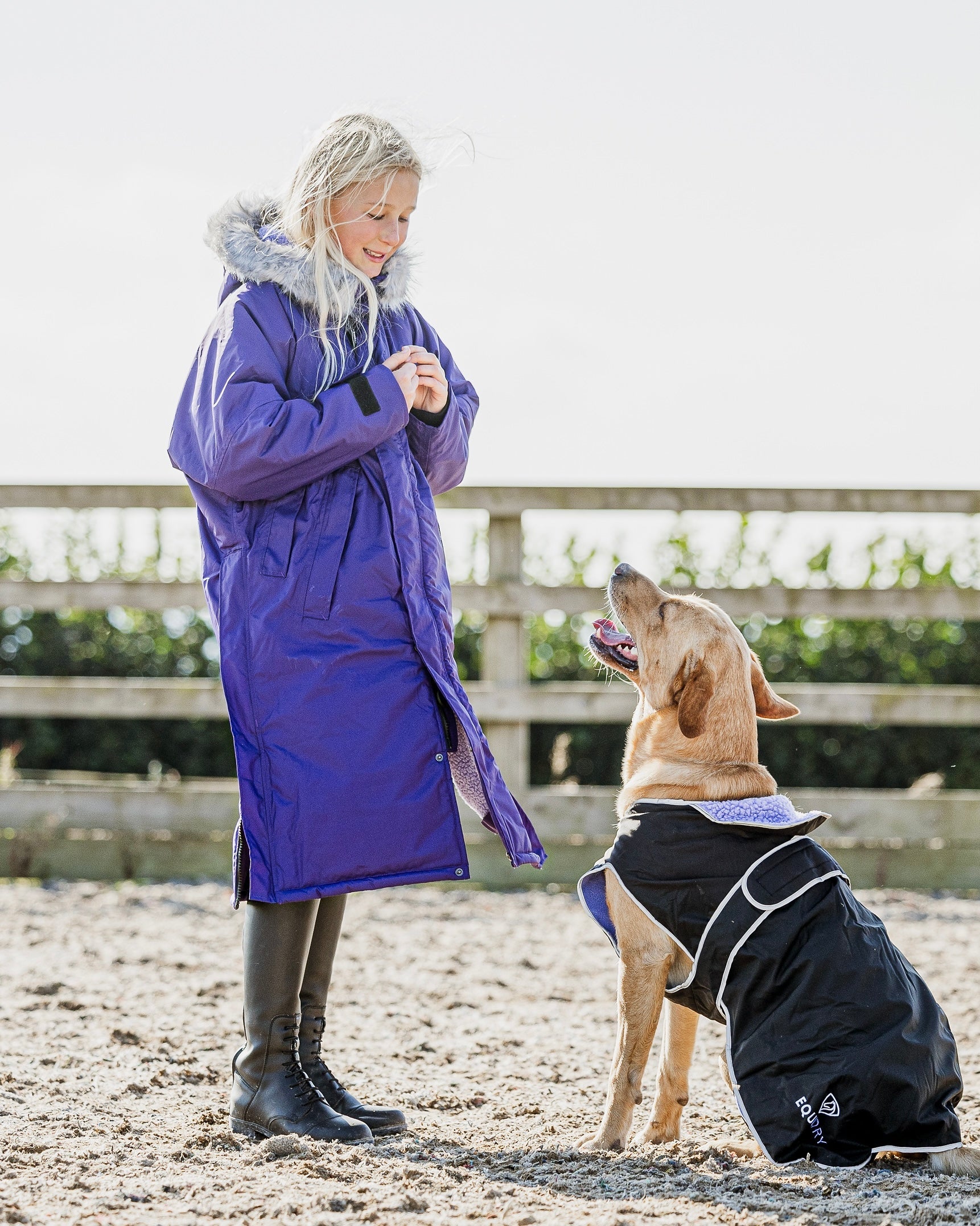 EQUIDRY Children's Purple Coat & Dog Coat: Girl in Equestrian Gear with Labrador Friend