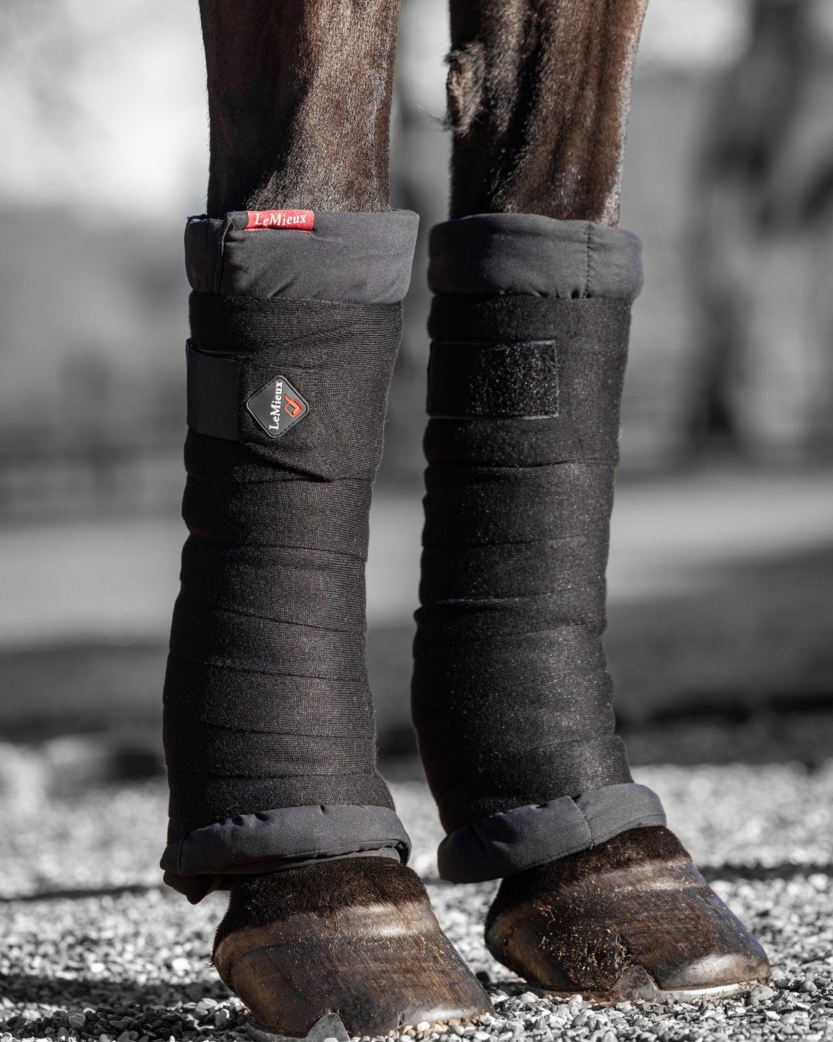 LEMIEUX STABLE BANDAGES BLACK Horse leg wraps - Equiflair