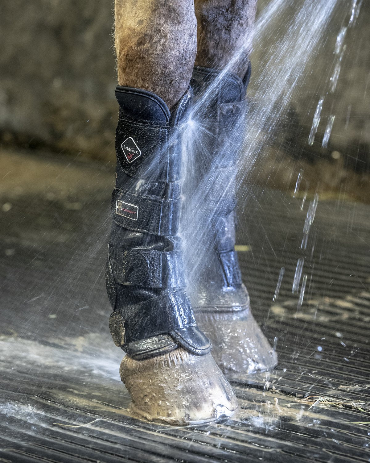 LEMIEUX TURNOUT BLACK Horse Boots: Protection & Comfort. Equestrian Leg Wear by Equiflair.