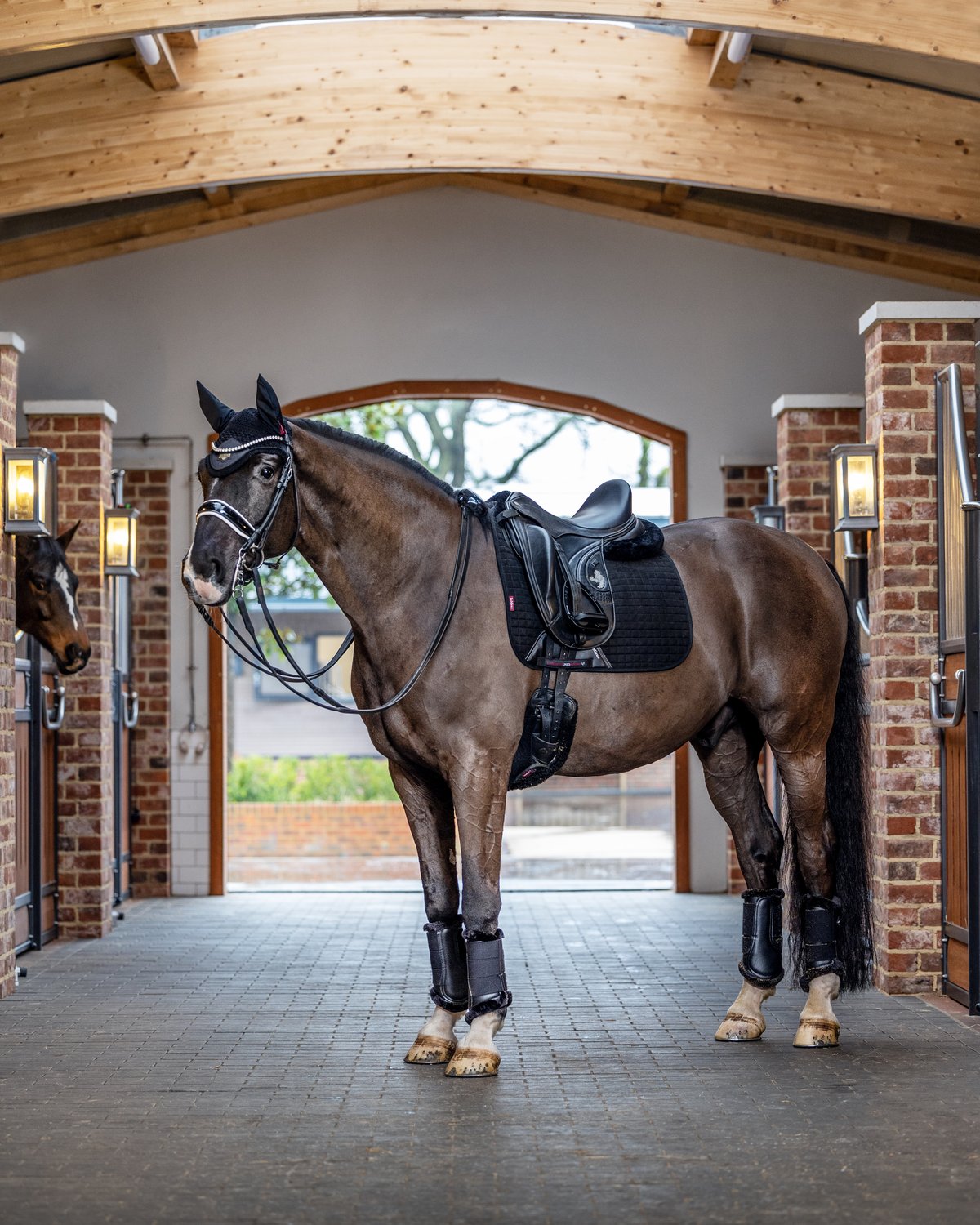 LeMieux Suede Dressage Square Black