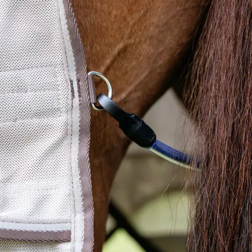 Lemieux Arika Sunstopper Sheet on Horse - UV Protection Horse Rug