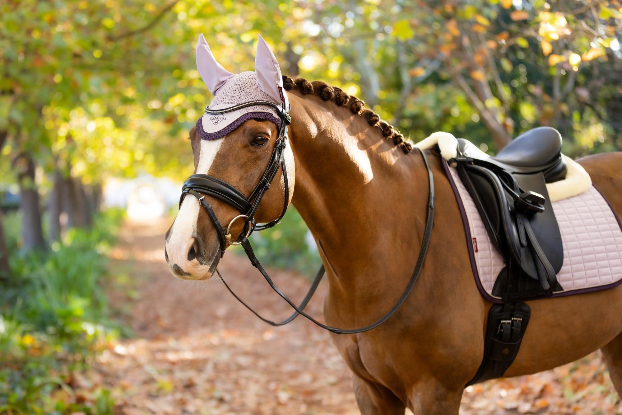 LEMIEUX Classic Fly Hood Lilac for Horse | Equestrian Ear Net | Protection & Style