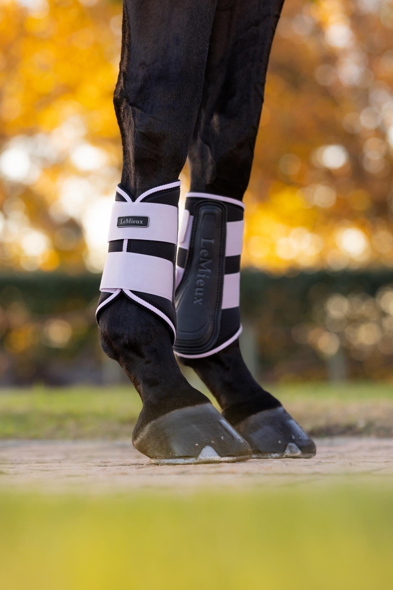 LeMieux Grafter Lilac Brushing Boots for Horse Leg Protection - Equestrian Gear