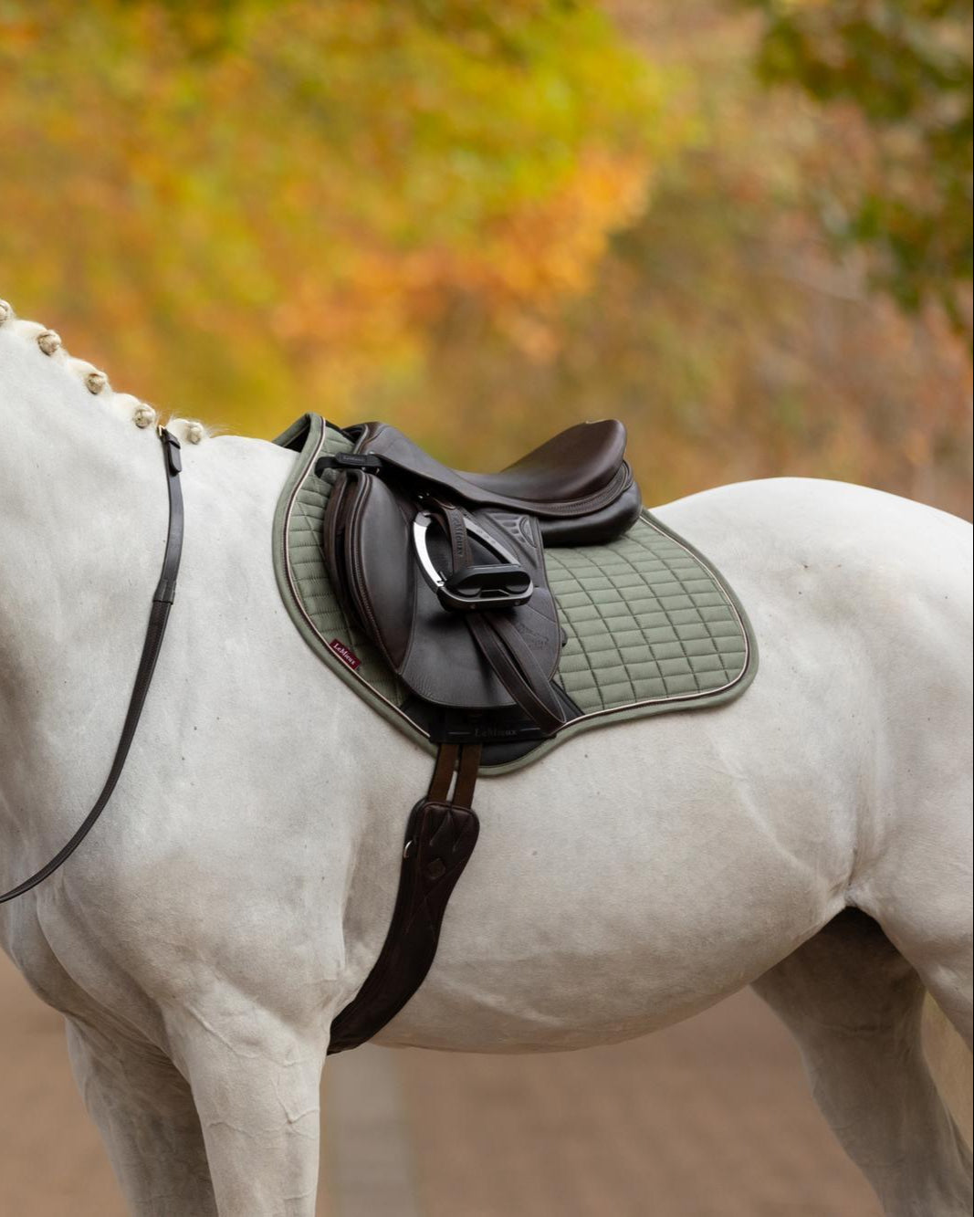 LeMieux Suede Close Contact Rosemary Saddle Pad for Jumping Horses | Equiflair
