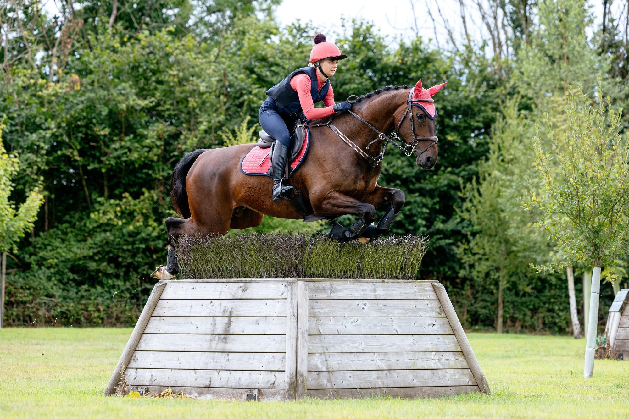 Horse & Rider Jumping with LeMieux Suede Close Contact Square Cranberry Pad - Equiflair
