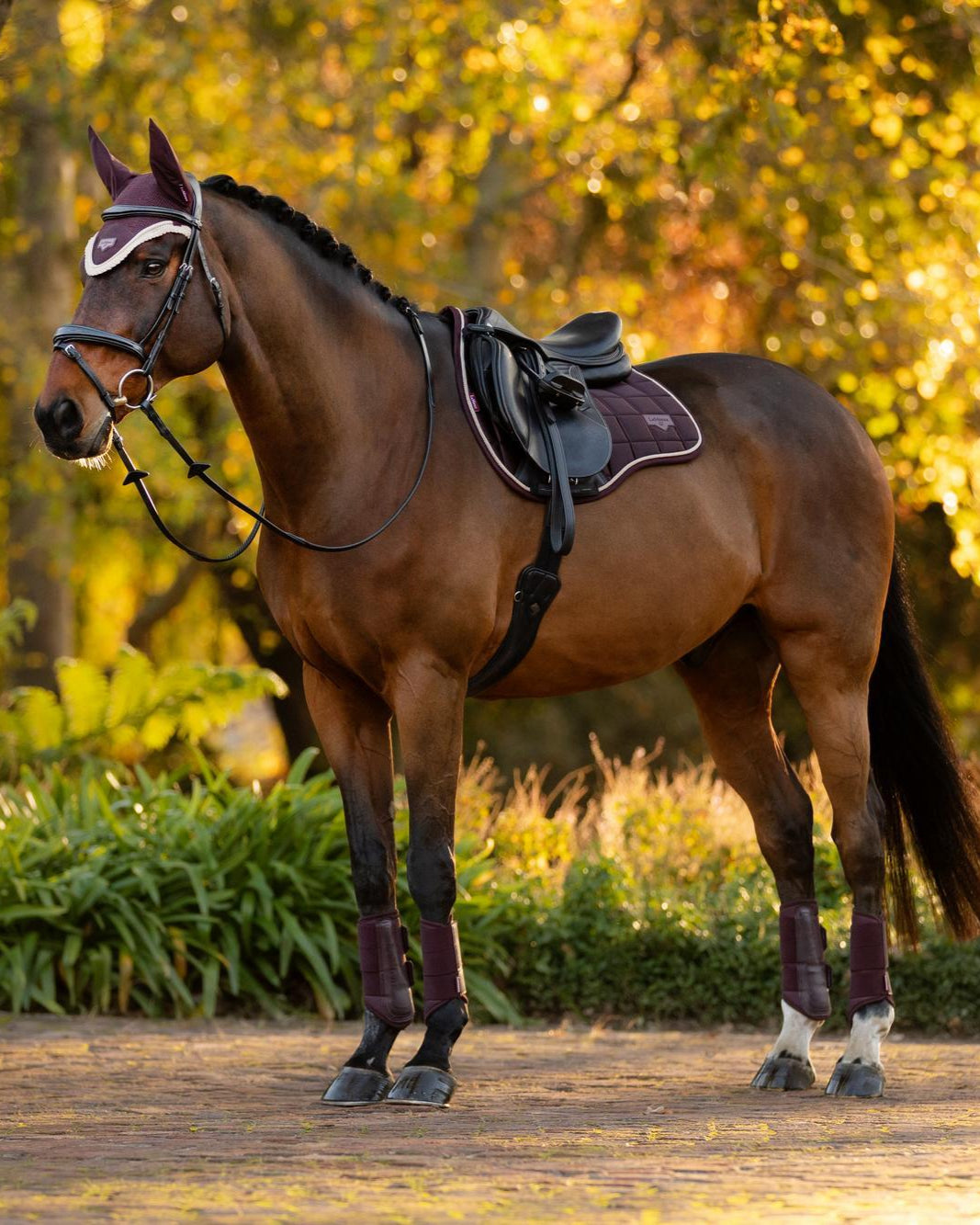 LeMieux Loire Classic GP Square Damson Saddle Pad | Equestrian Horse Riding Equipment