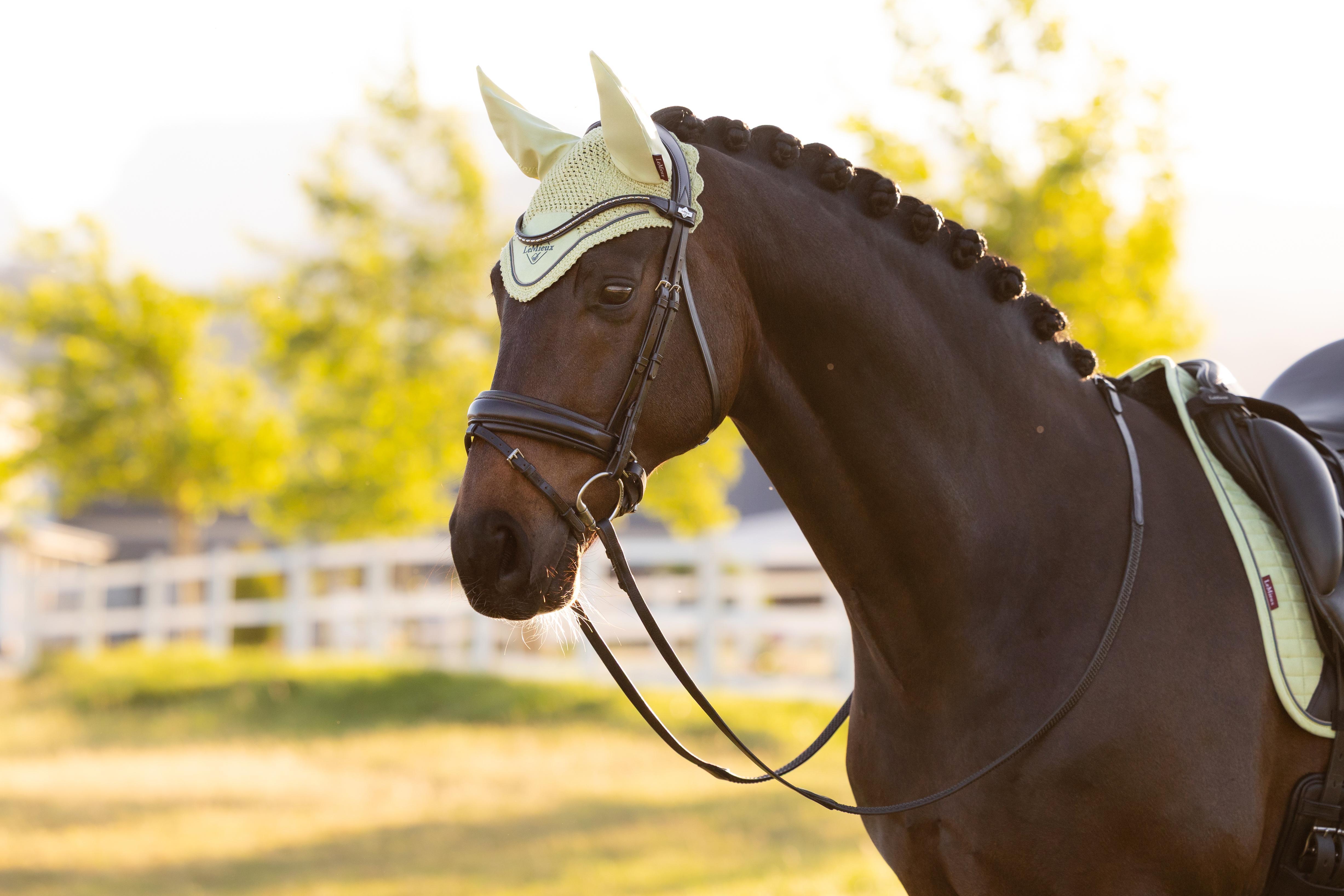 LeMieux Classic Fly Hood Macaron