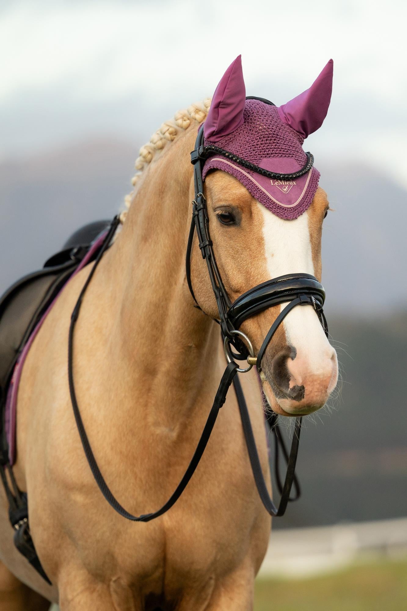 Palomino Horse Wearing LeMieux Classic Fly Hood Mallow | Equestrian Style | Horse Riding