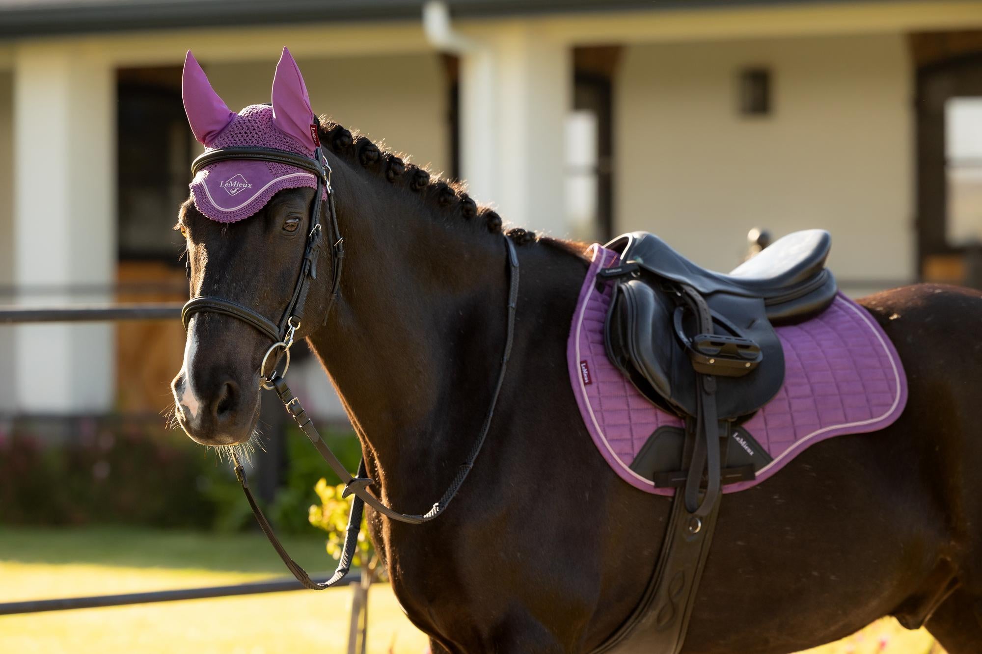 LeMieux Classic Fly Hood Mallow on a Horse | Equiflair Equestrian