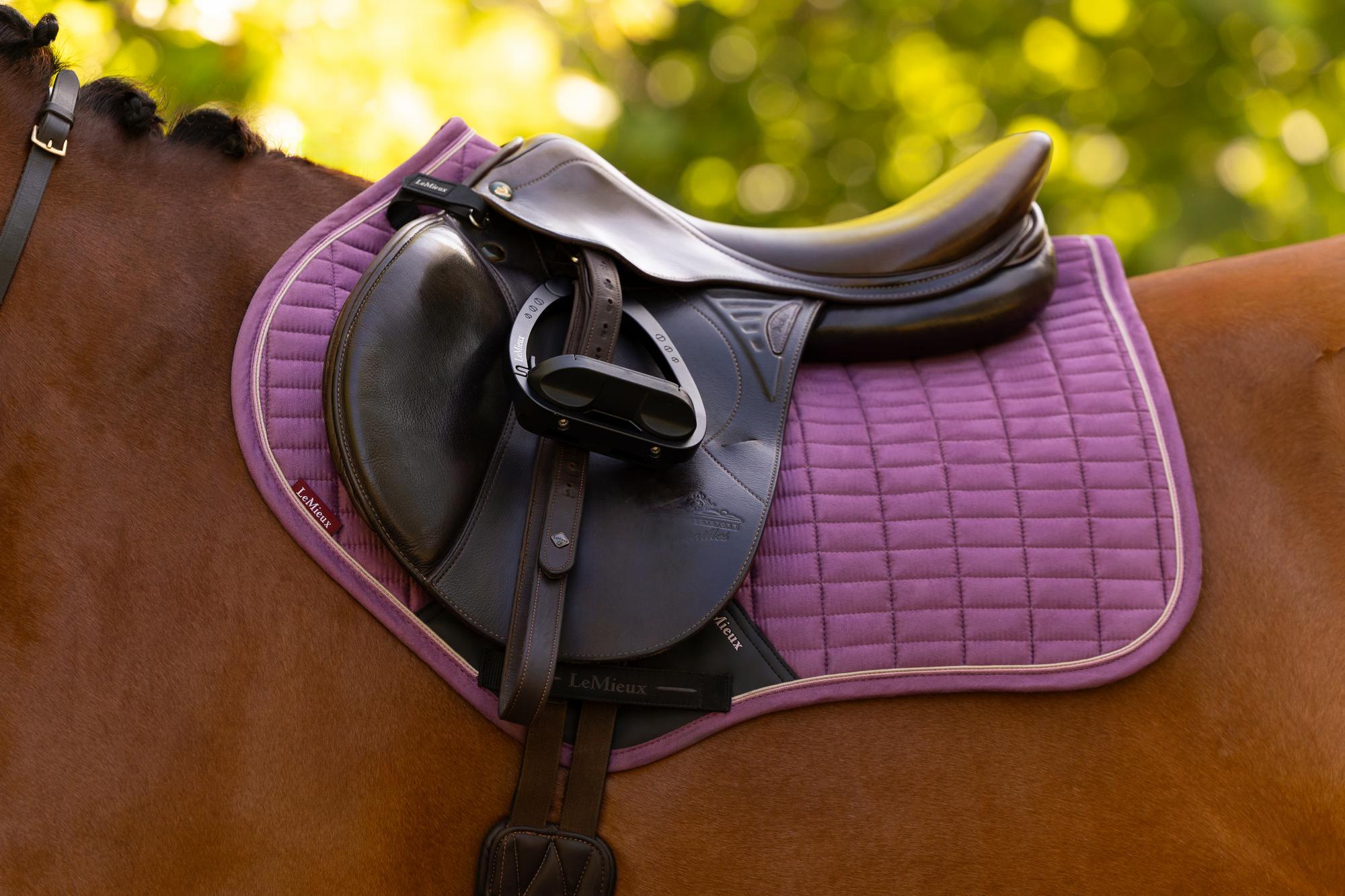 LeMieux Suede Close Contact Saddle Pad - Mallow. Premium equestrian equipment for horse riding. Stylish & comfortable saddle pad.