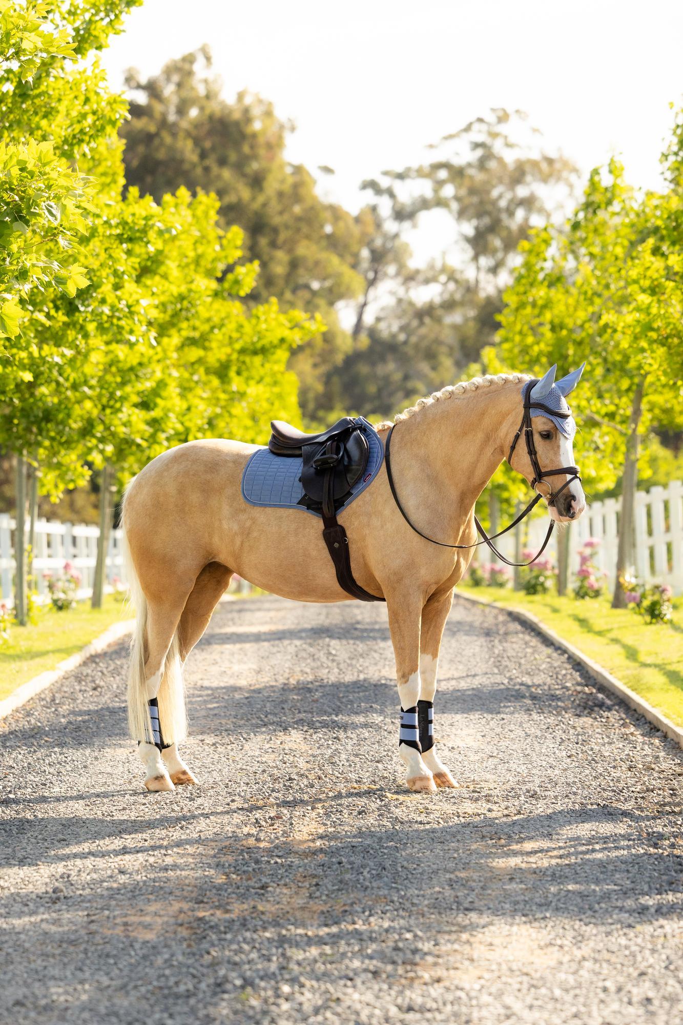 LeMieux Suede Close Contact Square Saddle Pad Powder Blue | Equiflair