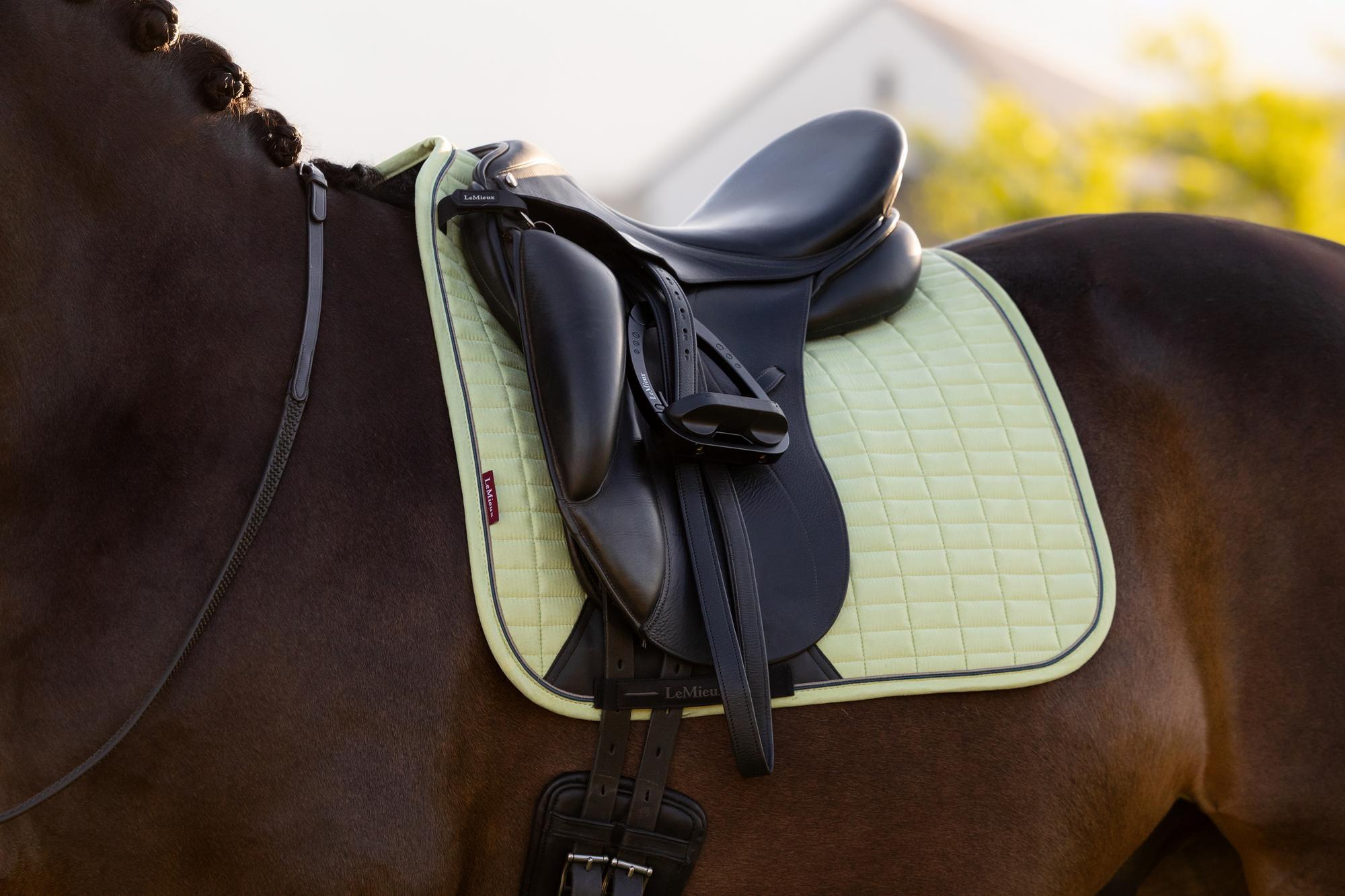 LeMieux Suede Dressage Square Macaron | Equiflair