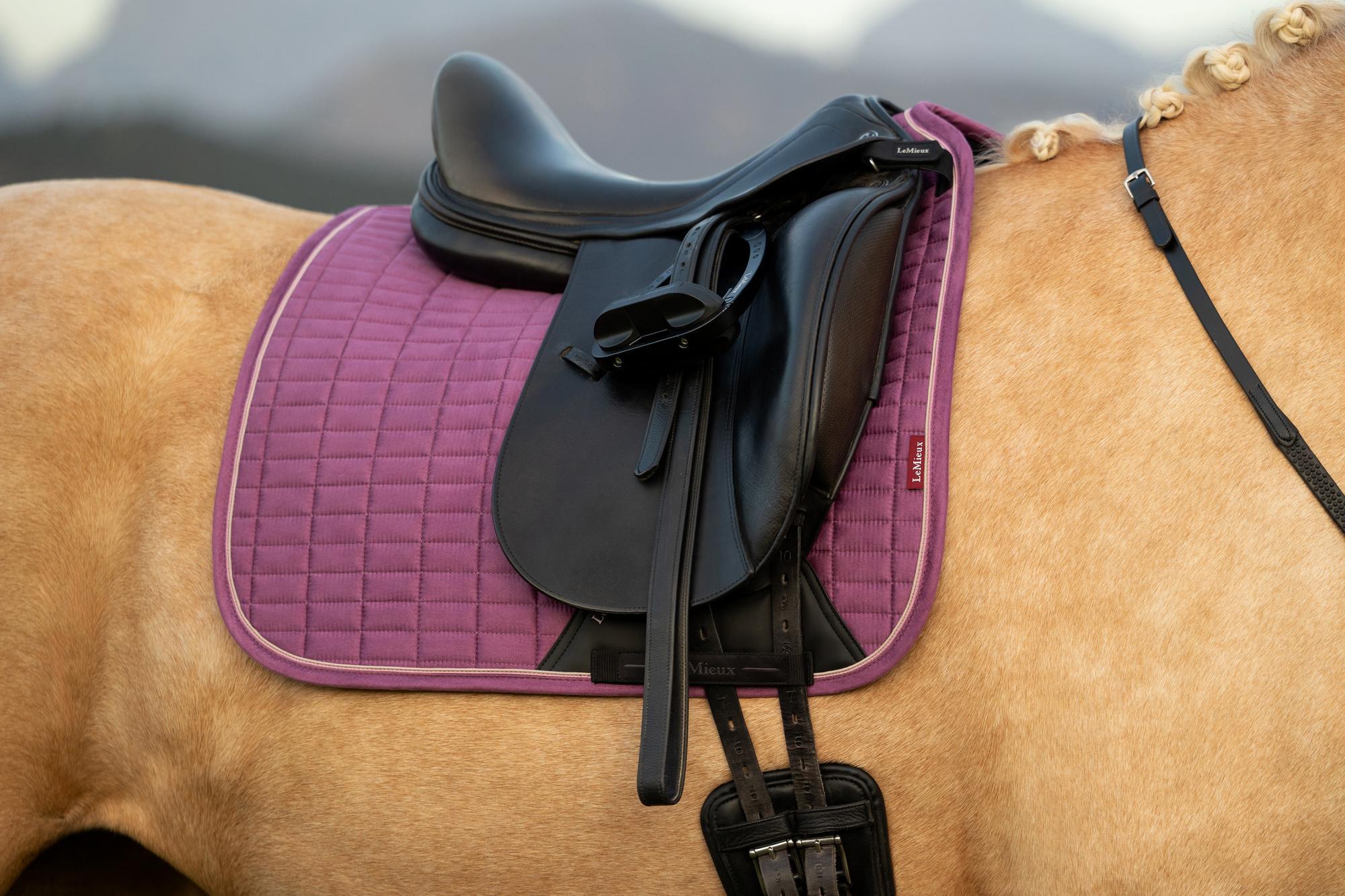 LeMieux Suede Dressage Square Mallow | Equiflair