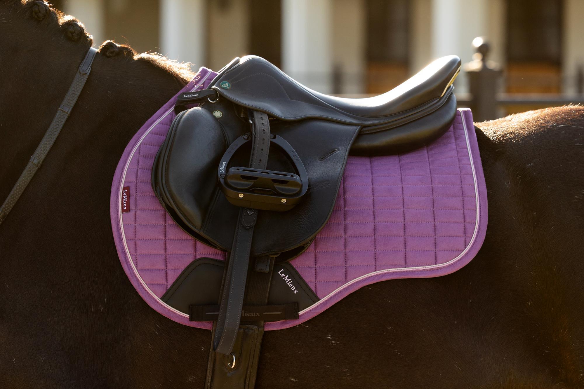 LeMieux Suede GP Square Mallow | Equiflair