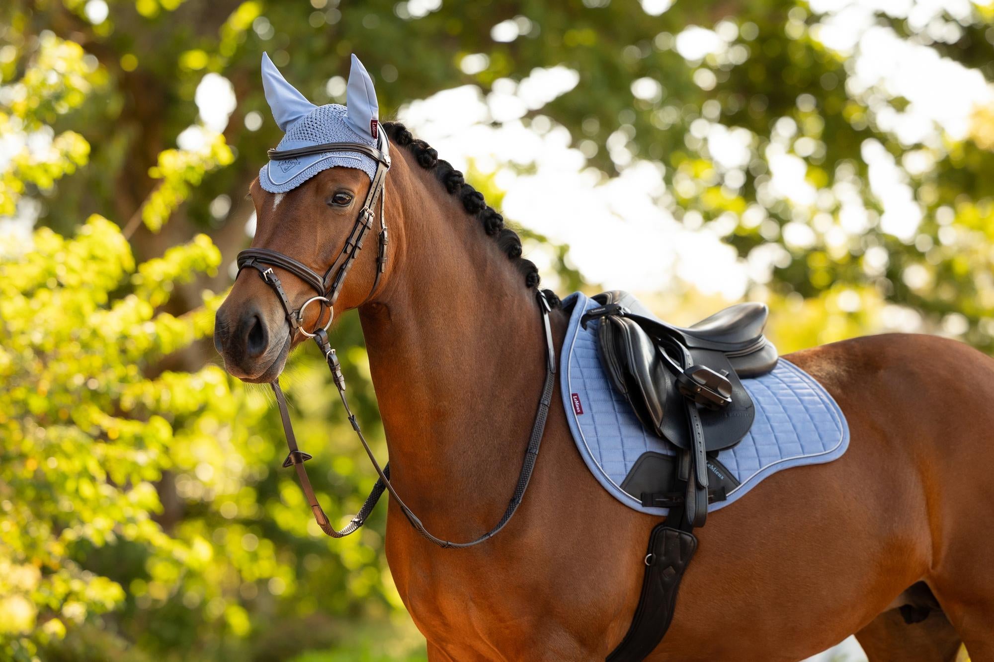 Elegant horse in Lemieux Powder Blue Suede GP Square saddle pad & fly hood. Equestrian dressage style.