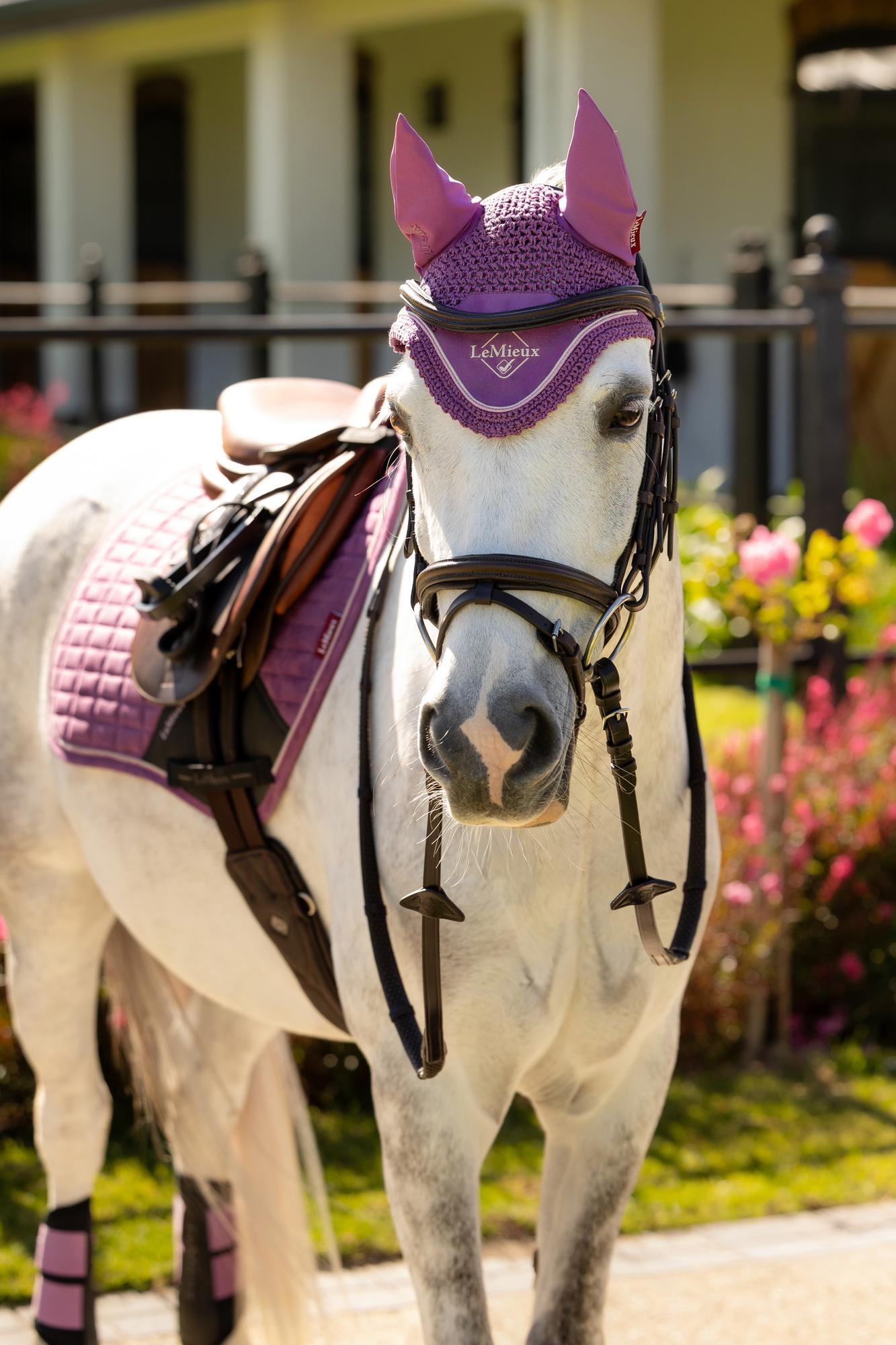 LeMieux Mini Classic Fly Hood Mallow | Equiflair
