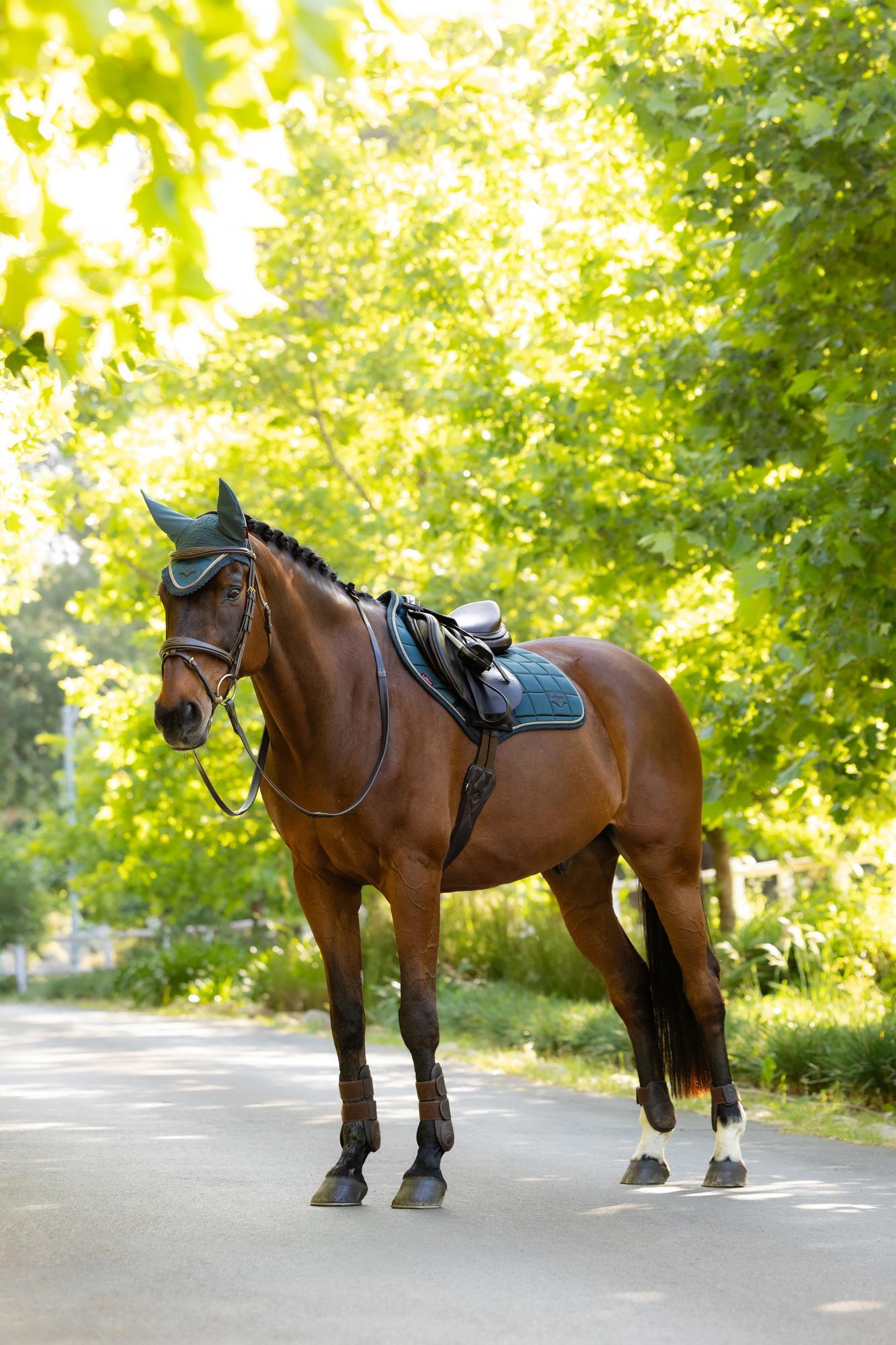 LeMieux Loire Classic Close Contact Square Saddle Pad Jungle | Equiflair