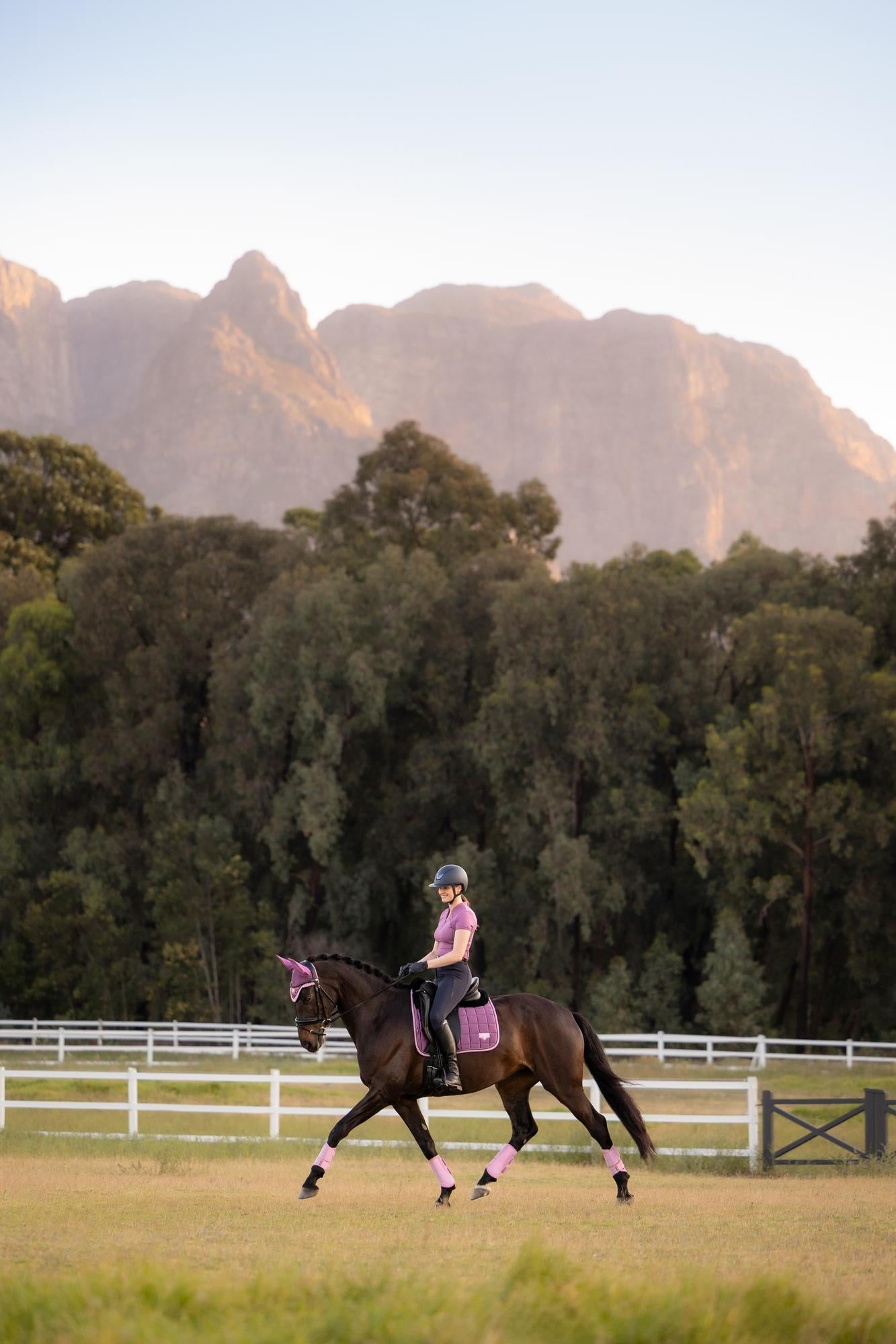 Equestrian Style: Woman on Horse in Mallow LeMieux Loire Dressage Pad - Equiflair. Horse riding, dressage gear, mallow saddle pad