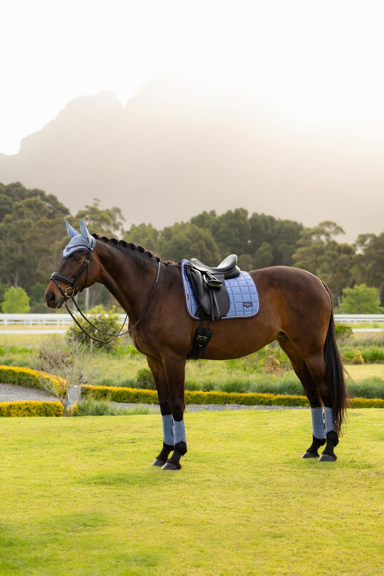 LeMieux Loire Classic Dressage Square Powder Blue | Equiflair