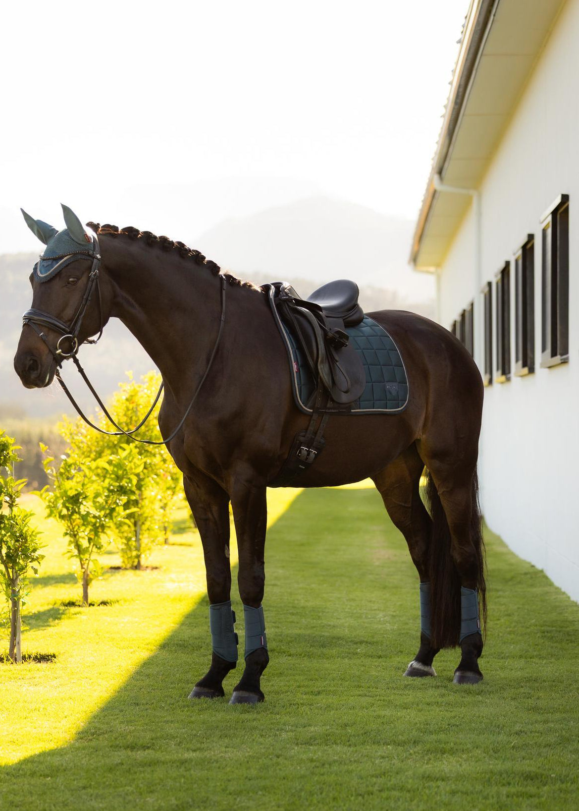 LeMieux Loire Classic Dressage Square Jungle saddle pad on a horse | Equiflair