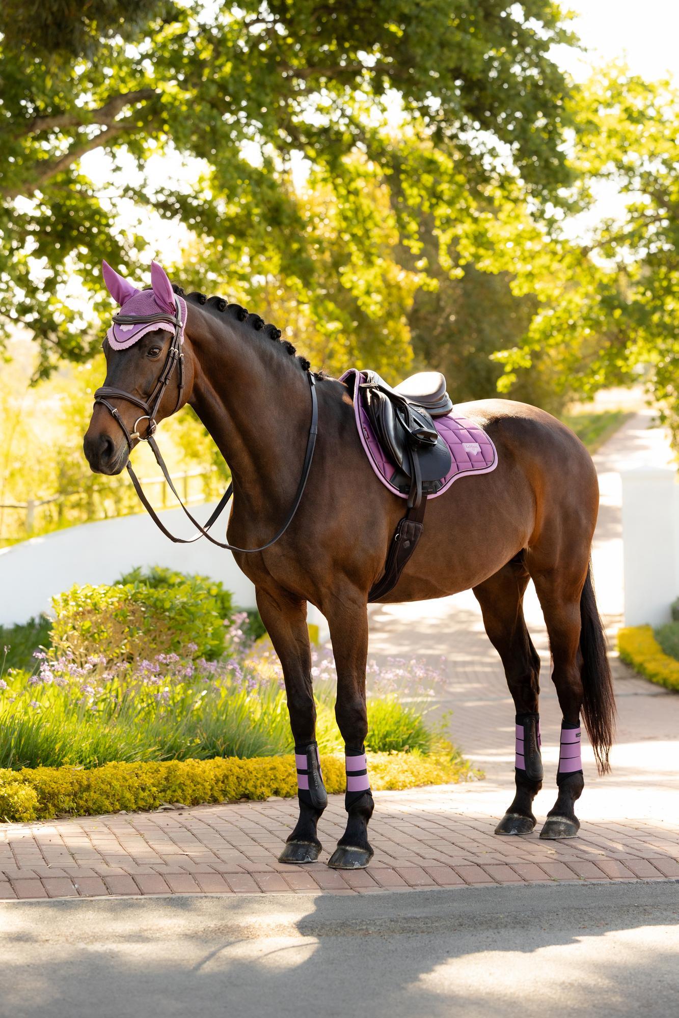 LeMieux Loire Classic GP Square Mallow | Equiflair