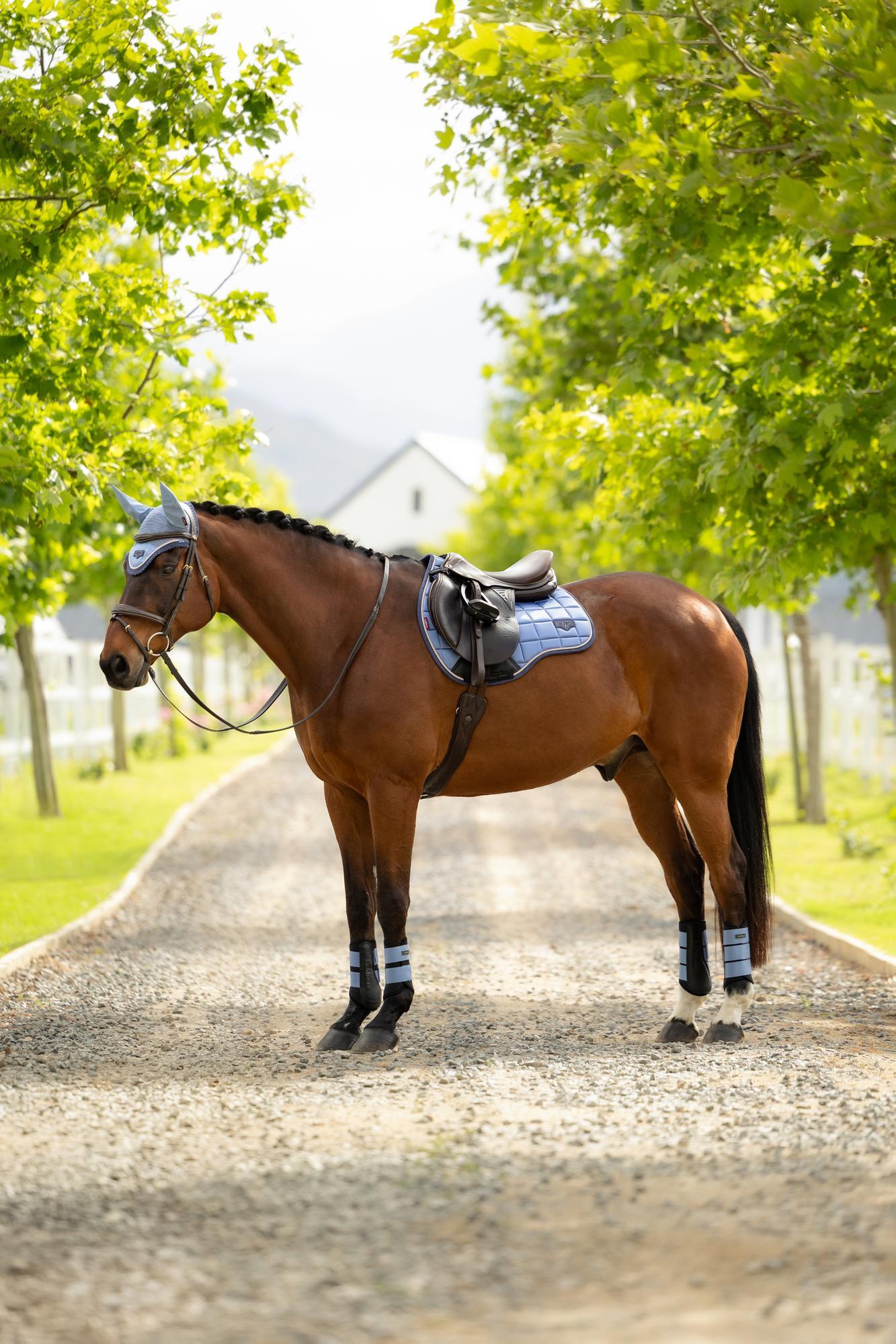 LeMieux Loire Classic GP Square Powder Blue | Equiflair