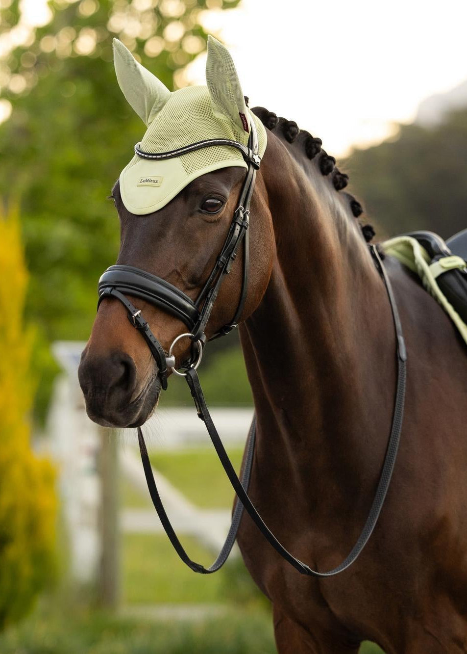 LeMieux Air-Tek Mesh Fly Hood Macaron | Horse Fly Veil