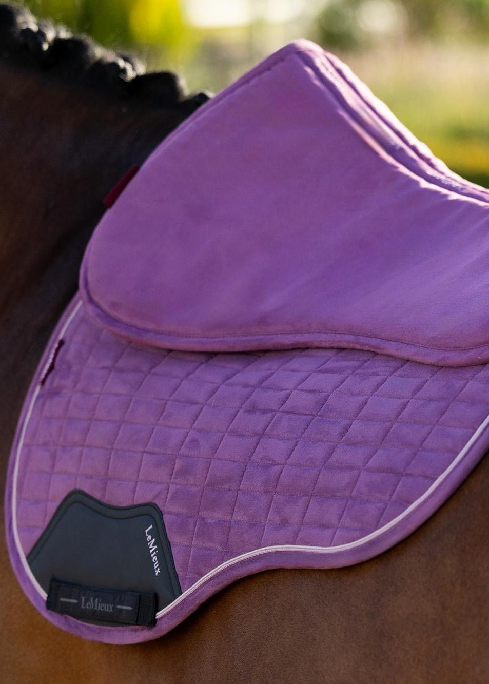 LeMieux Suede Half Pad Mallow | Equiflair