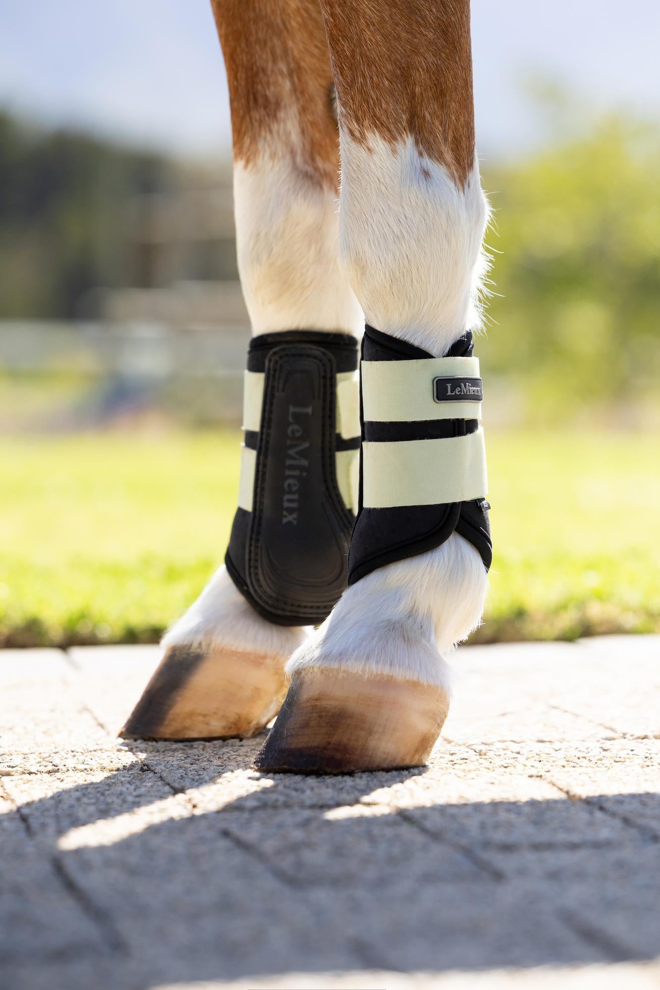 LeMieux Mini Air-Tek Grafter Brushing Boots Macaron