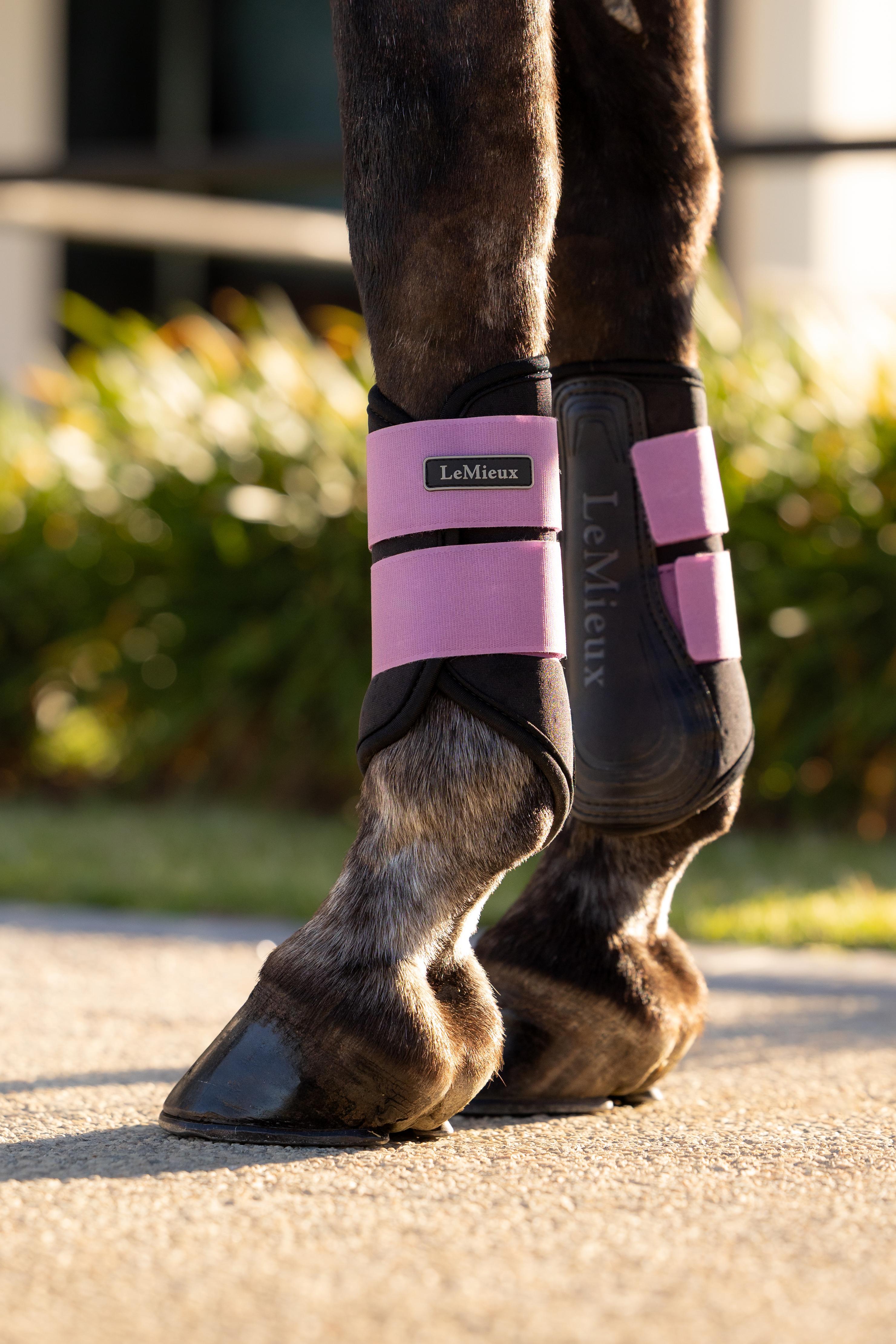 LeMieux Air - Tek Grafter Brushing Boots Mallow | Equiflair
