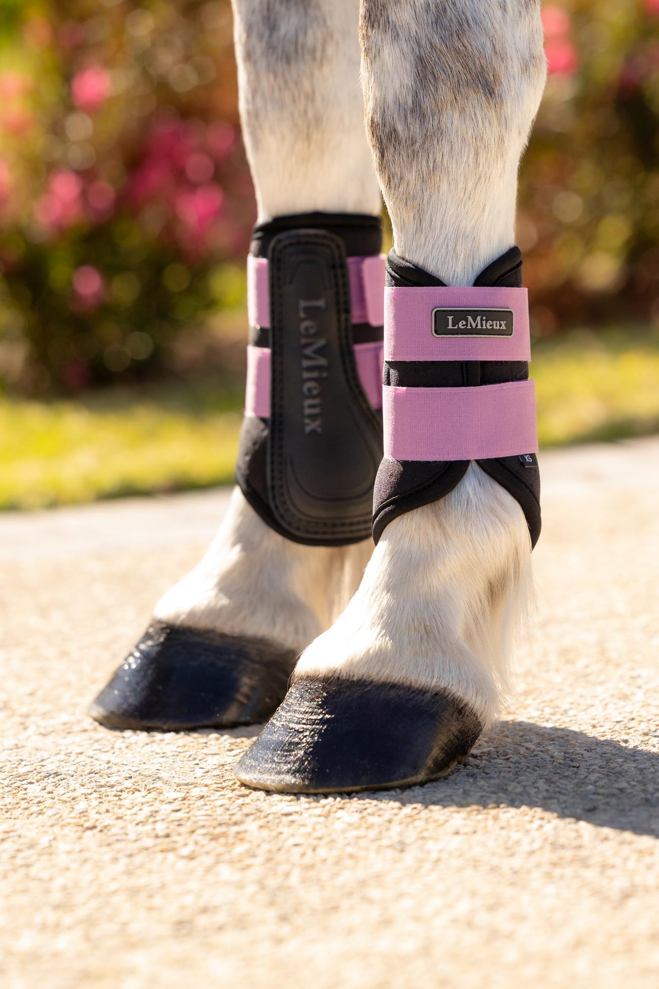 LeMieux Mini Air - Tek Grafter Brushing Boots Mallow | Equiflair