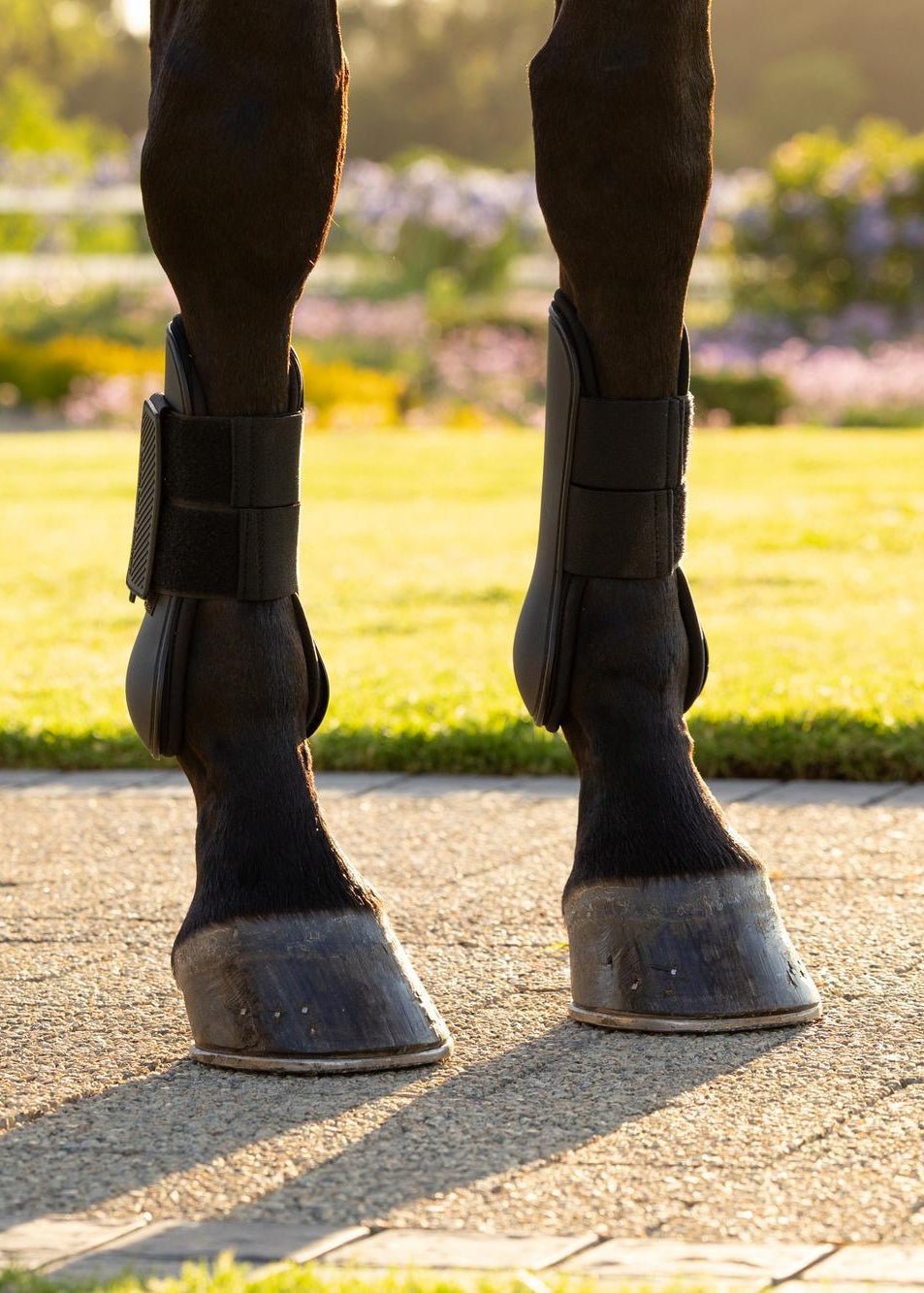 LeMieux Arika Tendon Boot Black | Equiflair