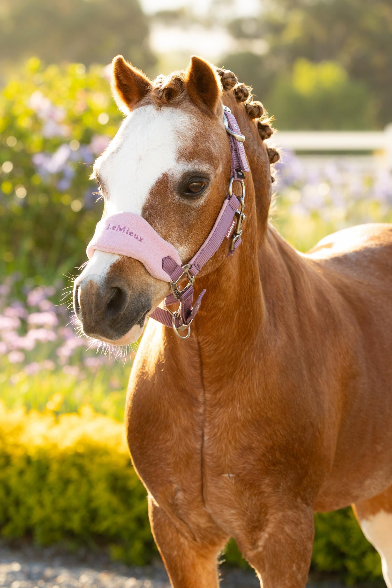 LeMieux Mini Vogue Headcollar & Leadrope Mallow | Equiflair