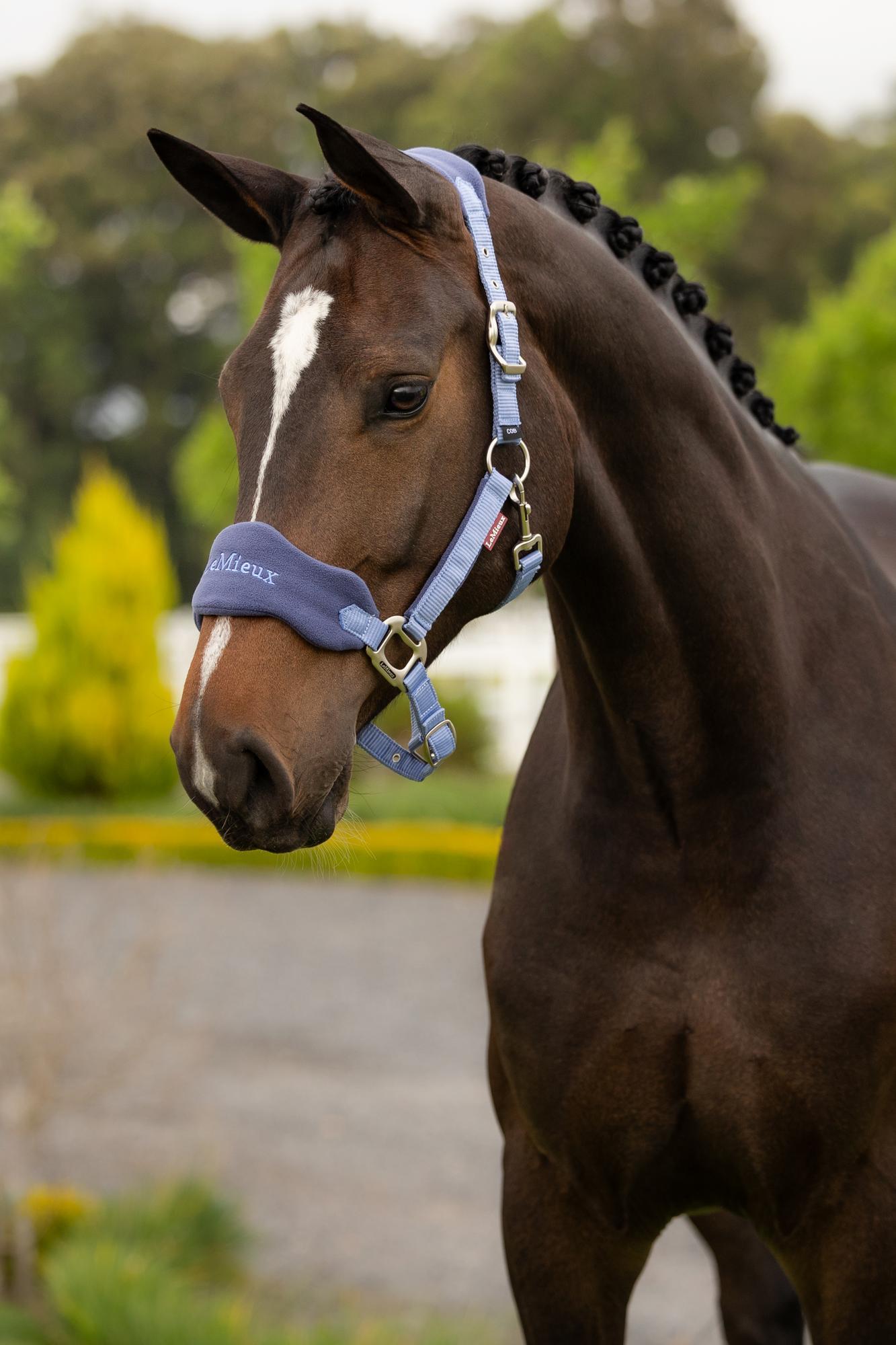 LeMieux Vogue Headcollar & Leadrope Powder Blue | Equiflair