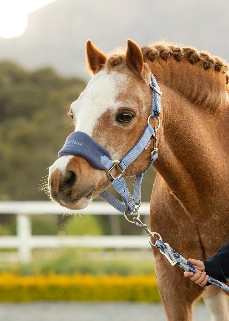 LeMieux Mini Vogue Headcollar & Leadrope Powder Blue | Equiflair